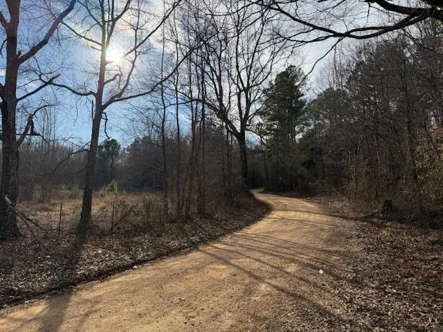 a view of a yard and swimming pool