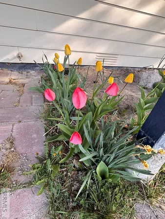 $359,000 | 305 East 3rd South, Rexburg, ID 83440