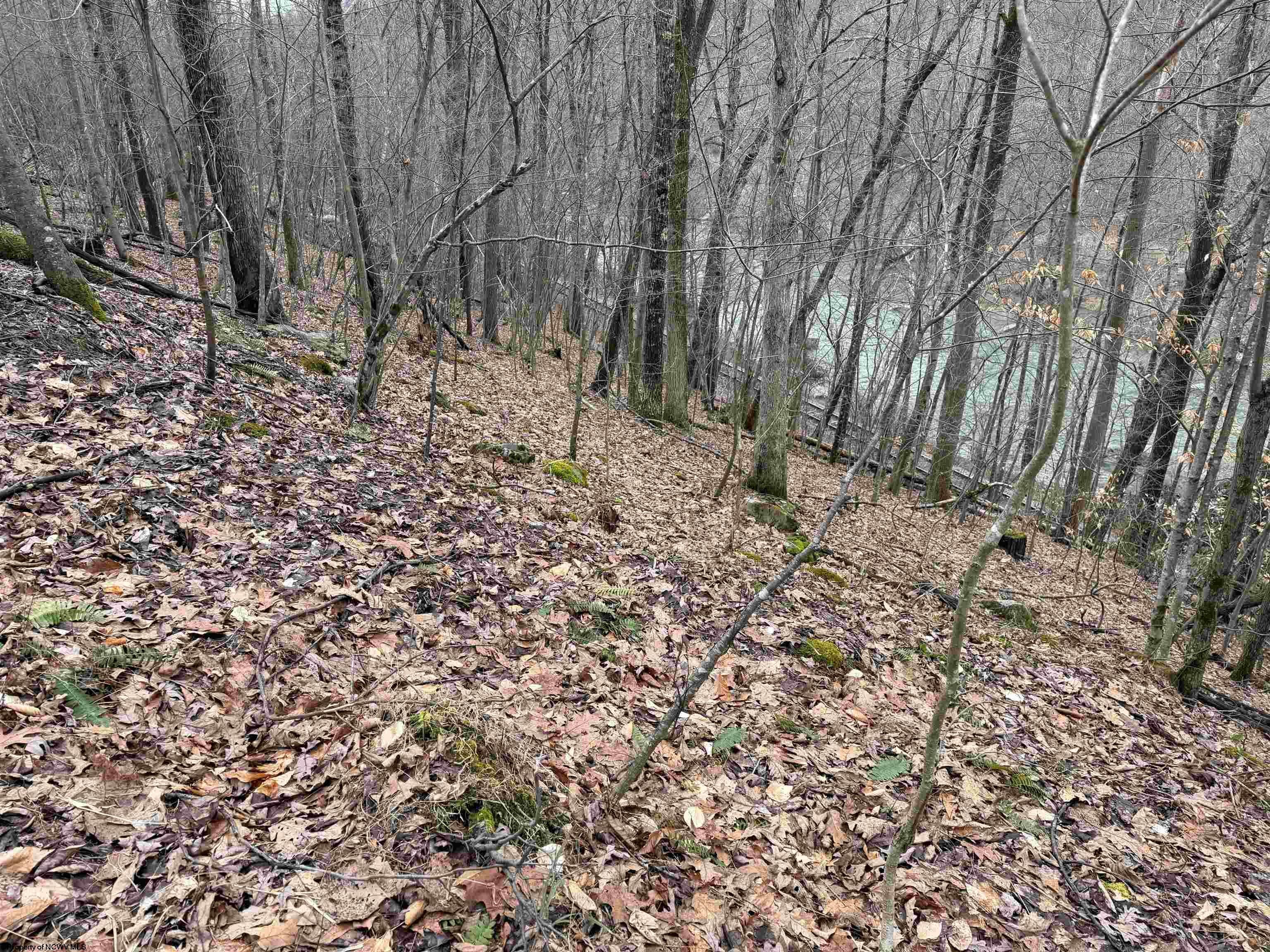Tbd Carrolton Road Buckhannon, WV 26201 - Photo 10 of 37 Gallery Image 10