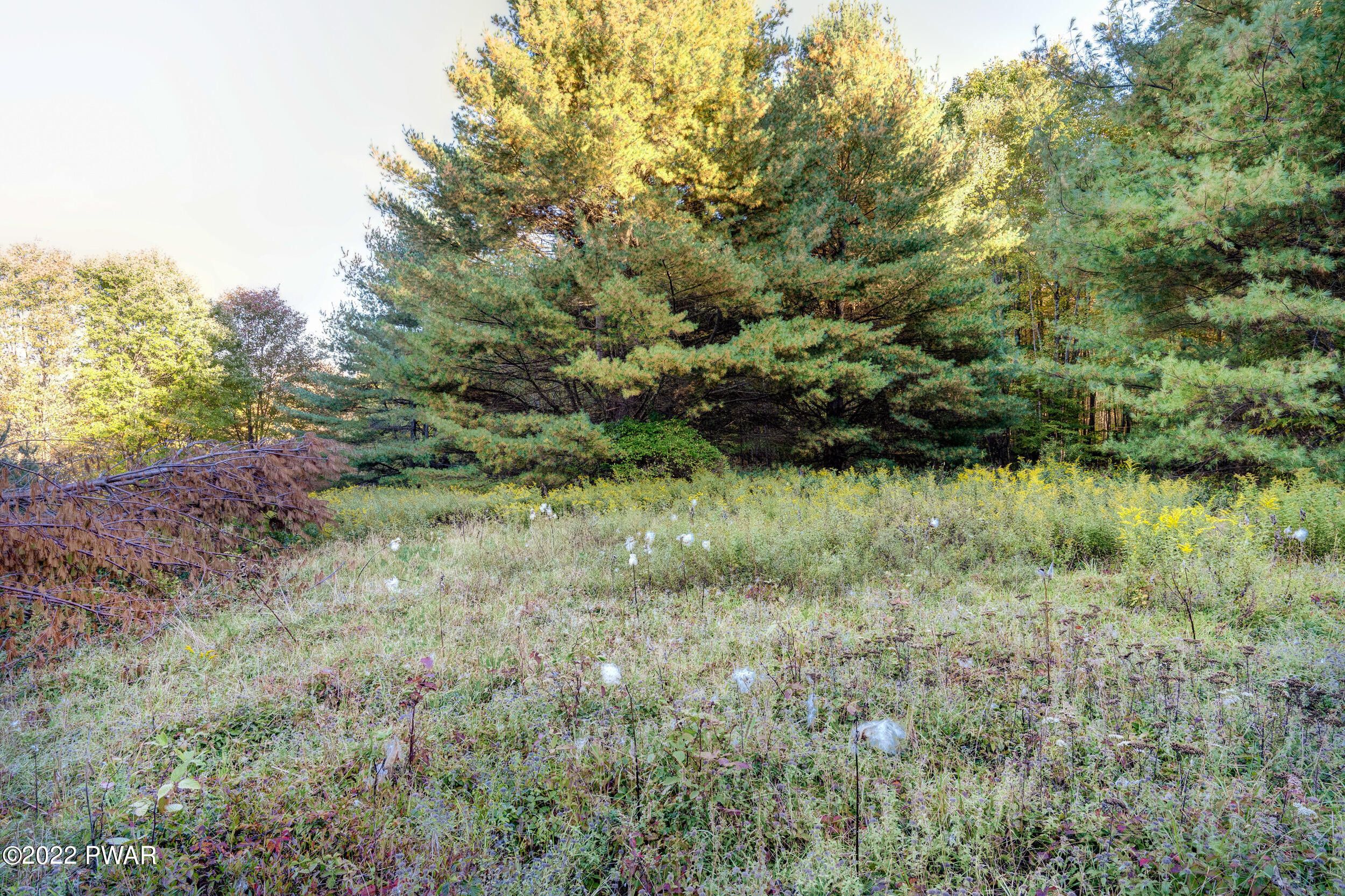 2-5 Plank Rd Beach Lake Beach Lake, PA 18405 - Photo 21 of 32
