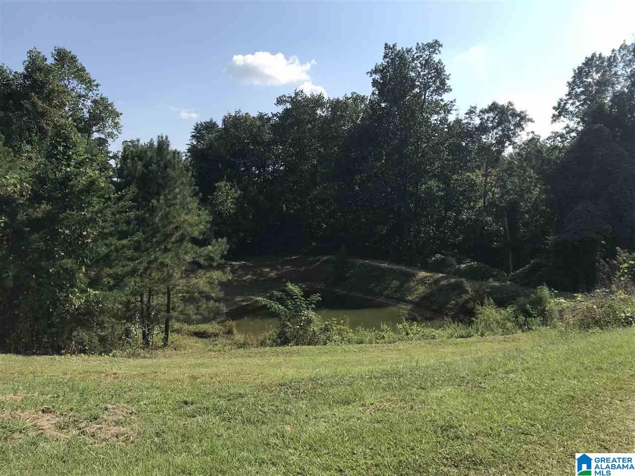 201 Lynn Road Double Springs, AL 35553 - Photo 33 of 33