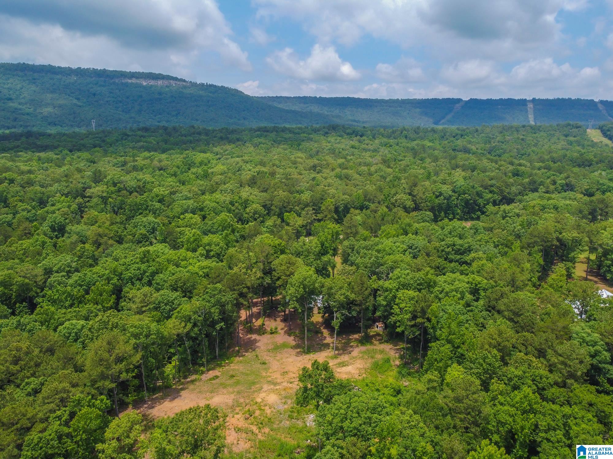 9160 Bear Creek Road Sterrett, AL 35147 - Photo 24 of 28