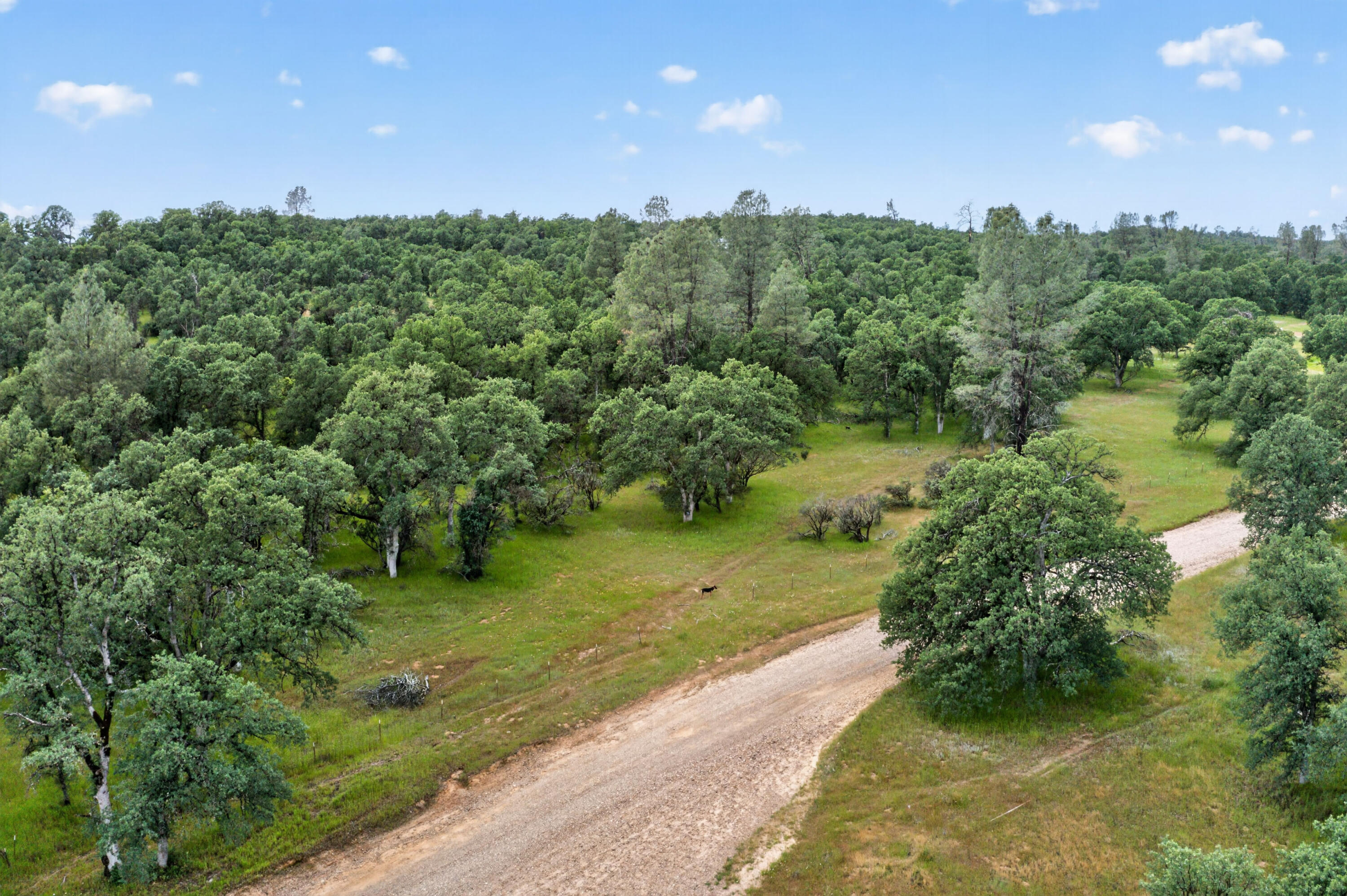 4027 2 2 Feathers Road Cottonwood, CA 96022 - Photo 13 of 35 DJI_0689