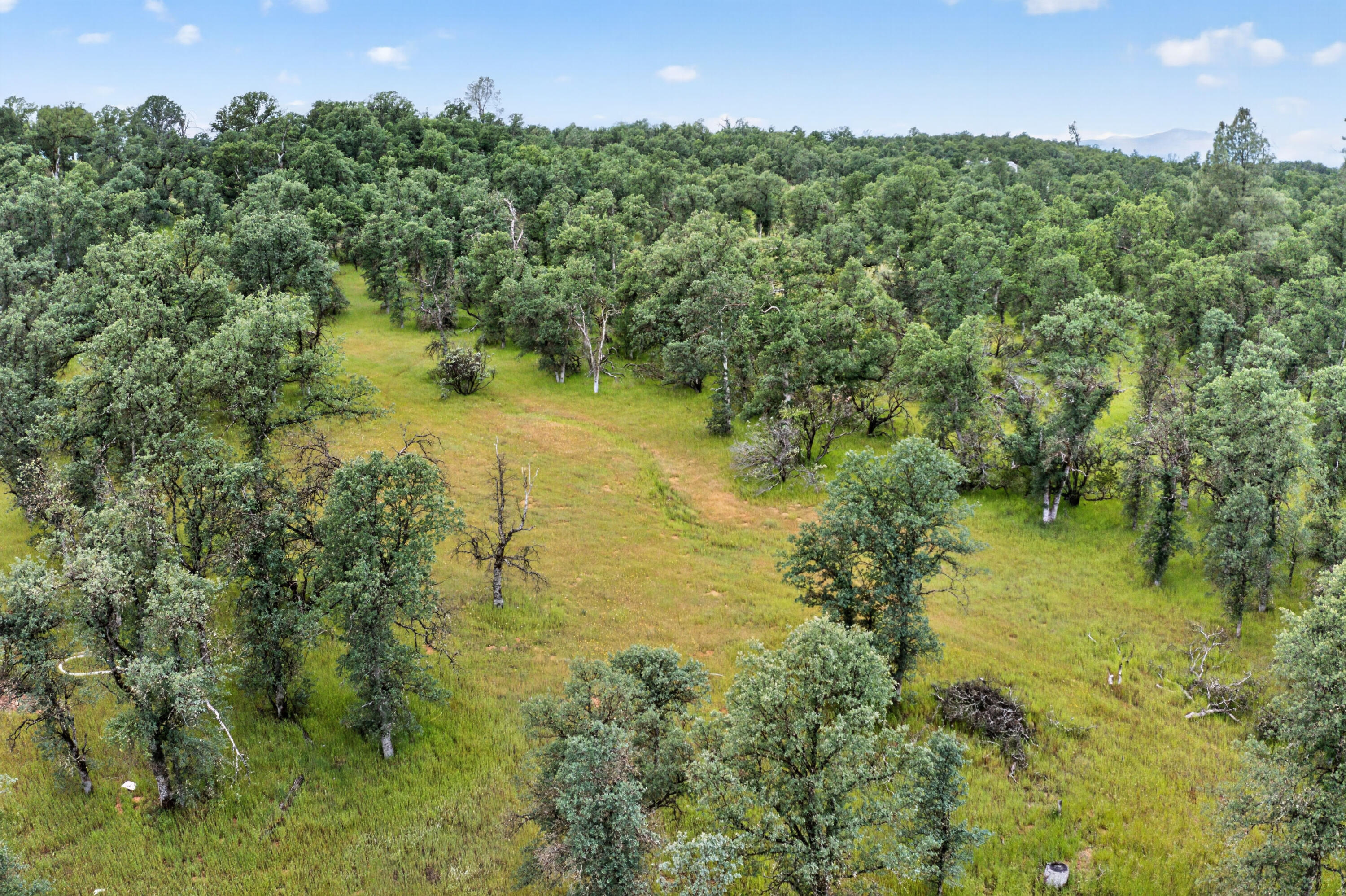 4027 2 2 Feathers Road Cottonwood, CA 96022 - Photo 15 of 35 DJI_0724