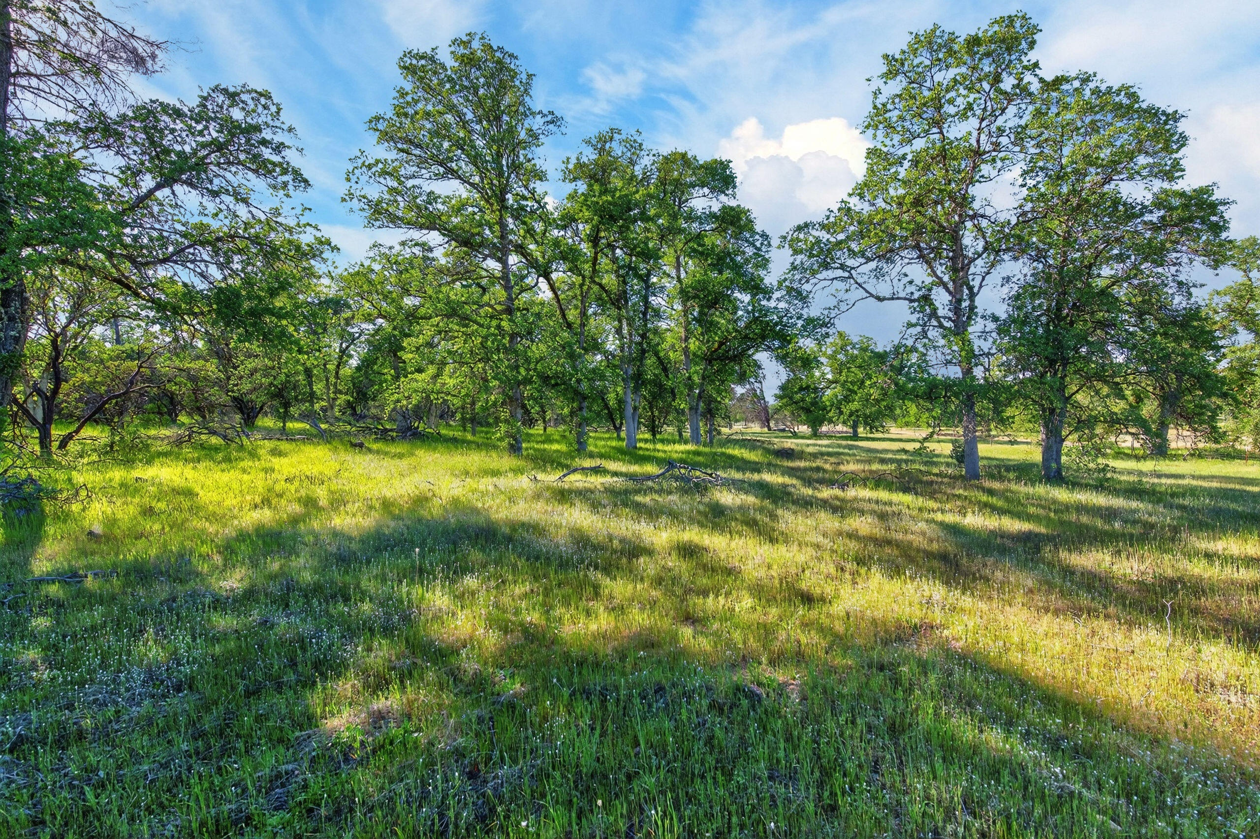 4027 2 2 Feathers Road Cottonwood, CA 96022 - Photo 18 of 35 _DSC1929