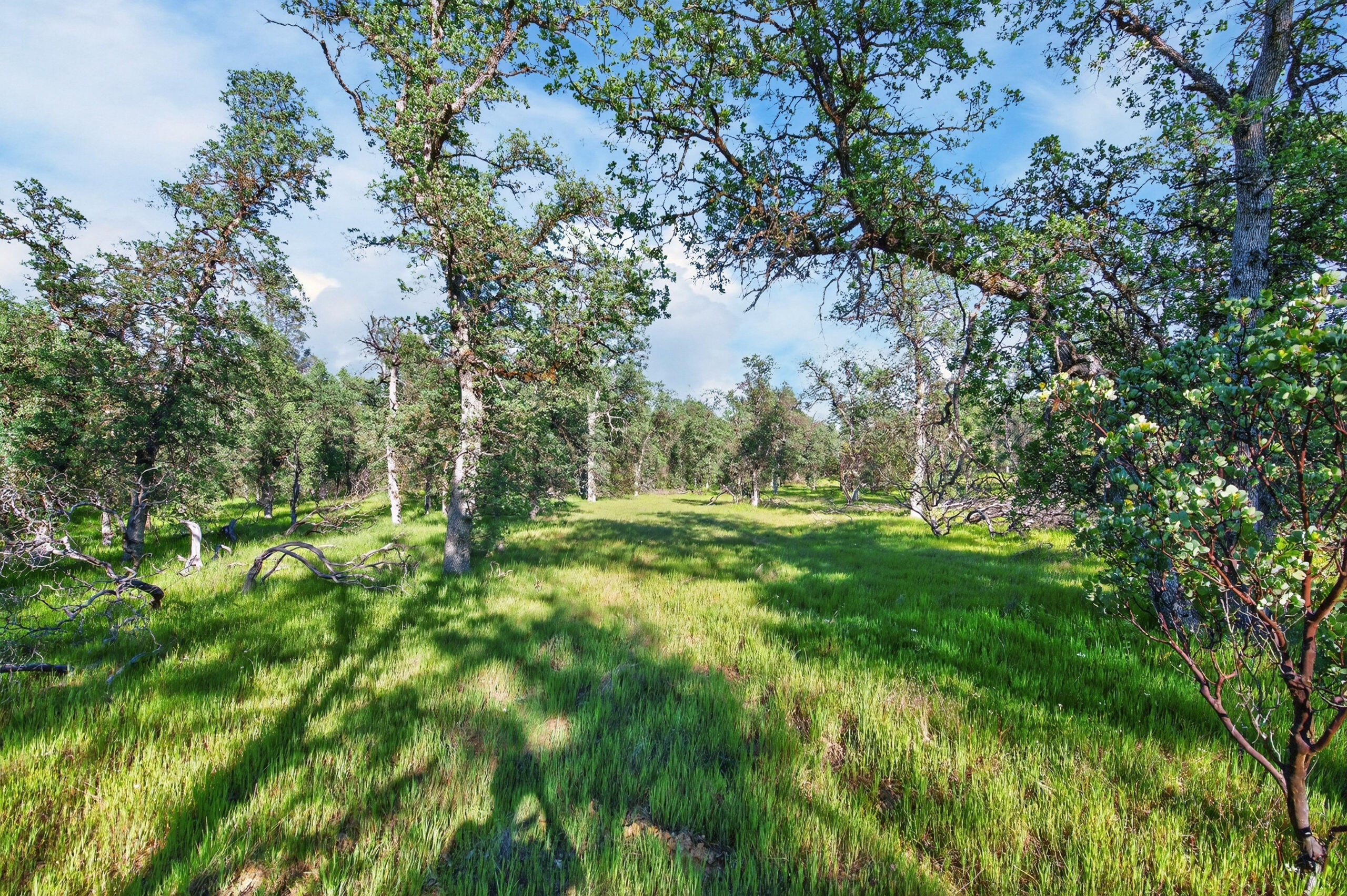 4027 2 2 Feathers Road Cottonwood, CA 96022 - Photo 21 of 35 _DSC1950