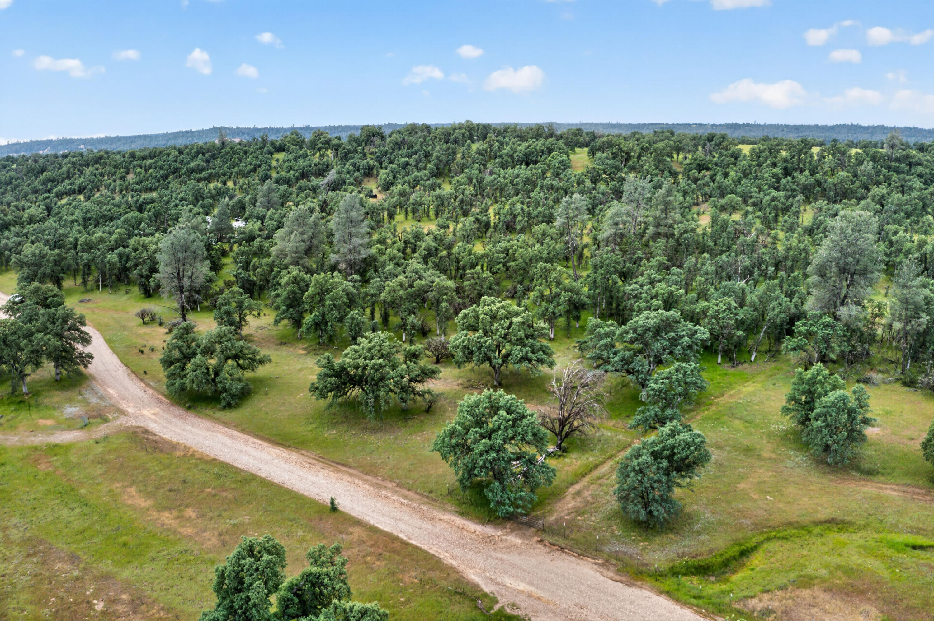 4027 2 2 Feathers Road Cottonwood, CA 96022 - Photo 22 of 35 DJI_0737