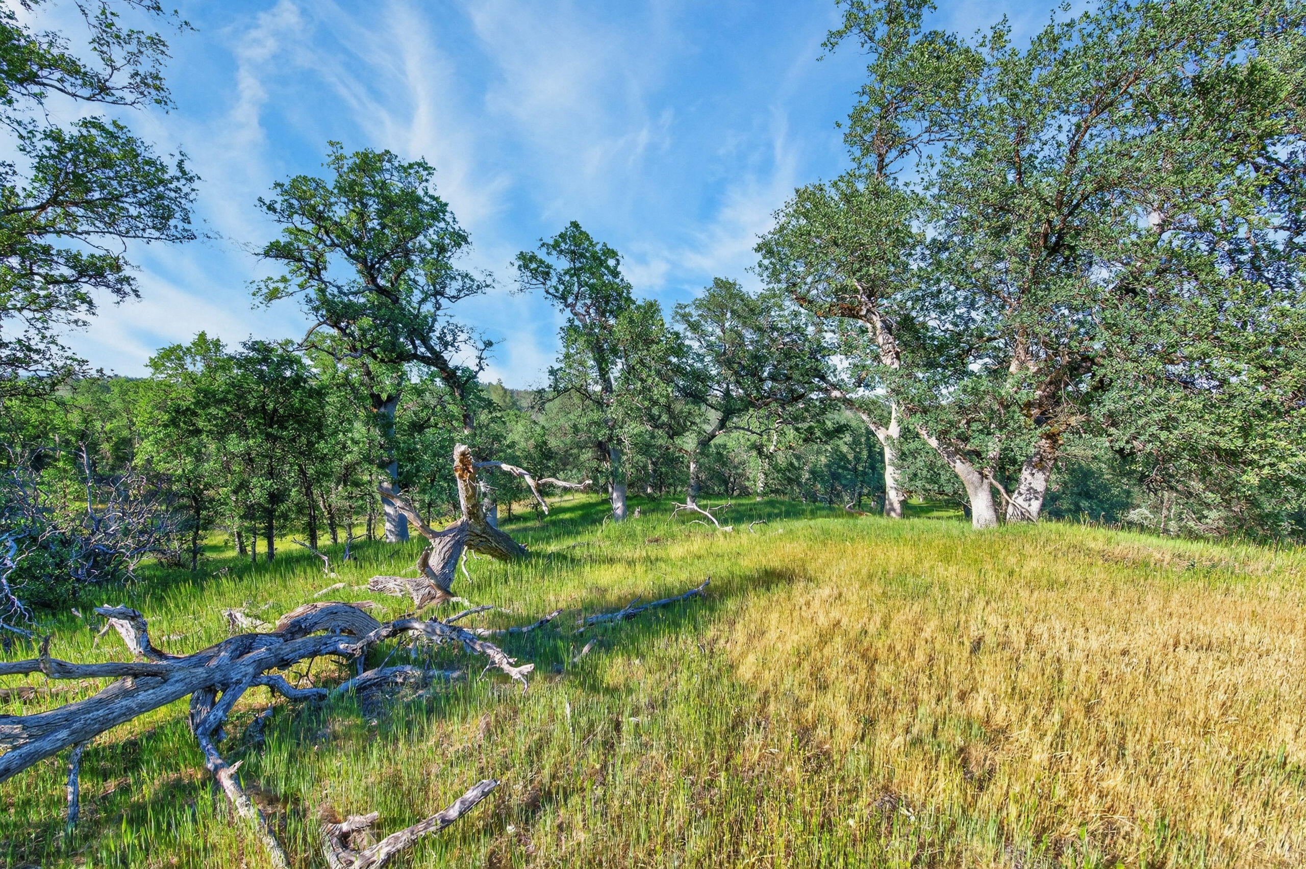 4027 2 2 Feathers Road Cottonwood, CA 96022 - Photo 26 of 35 _DSC2003