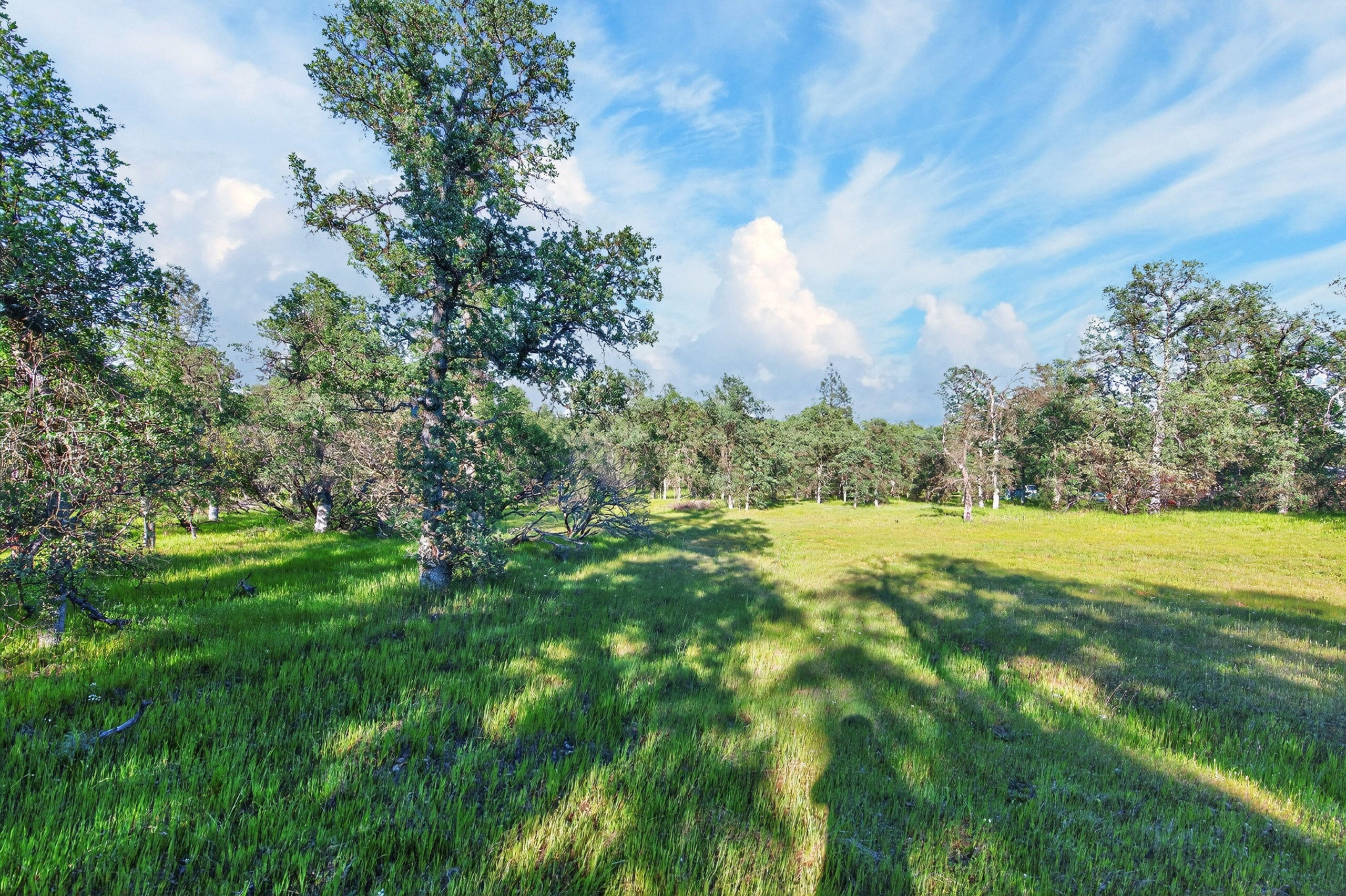 4027 2 2 Feathers Road Cottonwood, CA 96022 - Photo 28 of 35 _DSC2015
