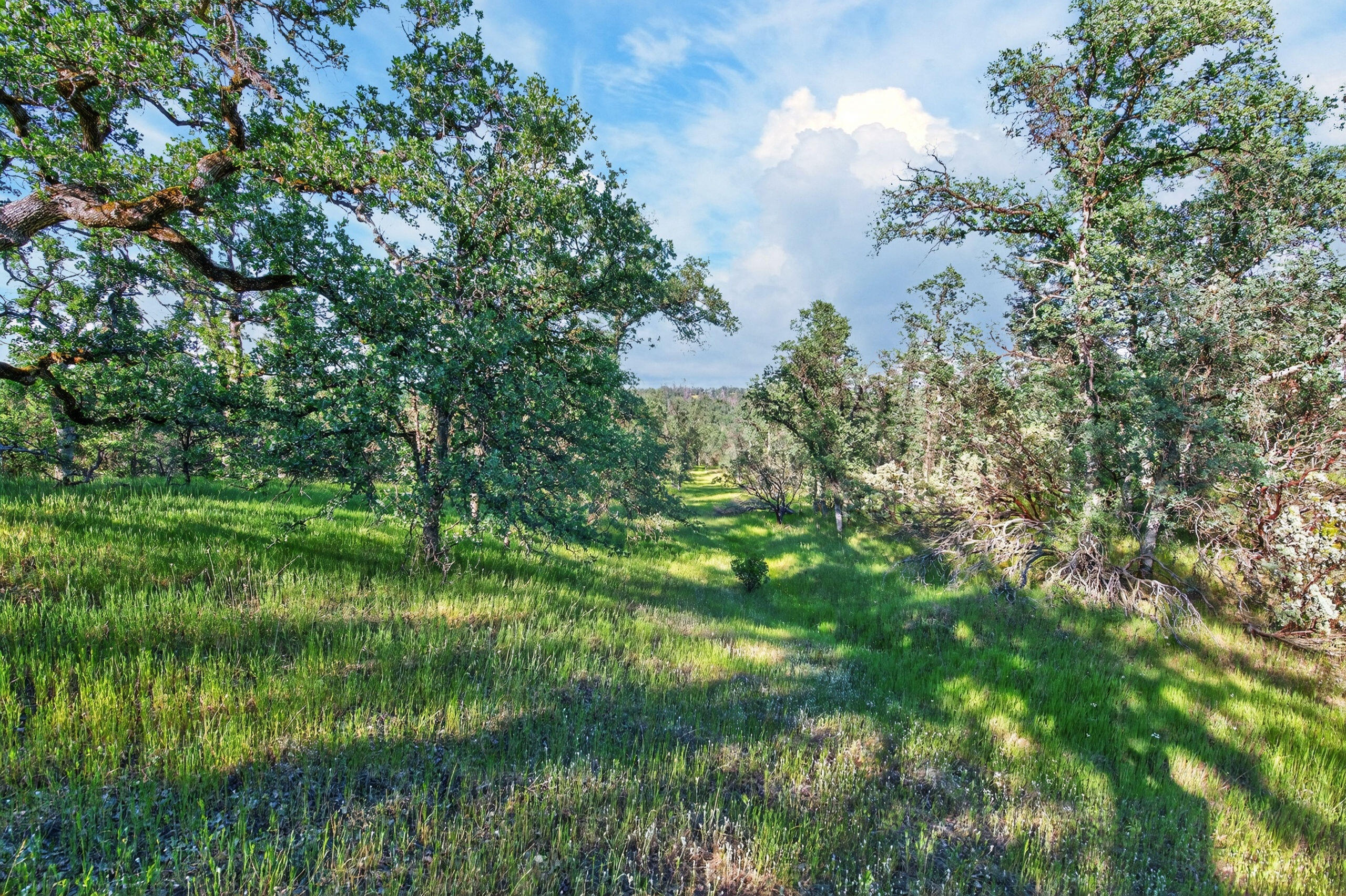 4027 2 2 Feathers Road Cottonwood, CA 96022 - Photo 30 of 35 _DSC2005