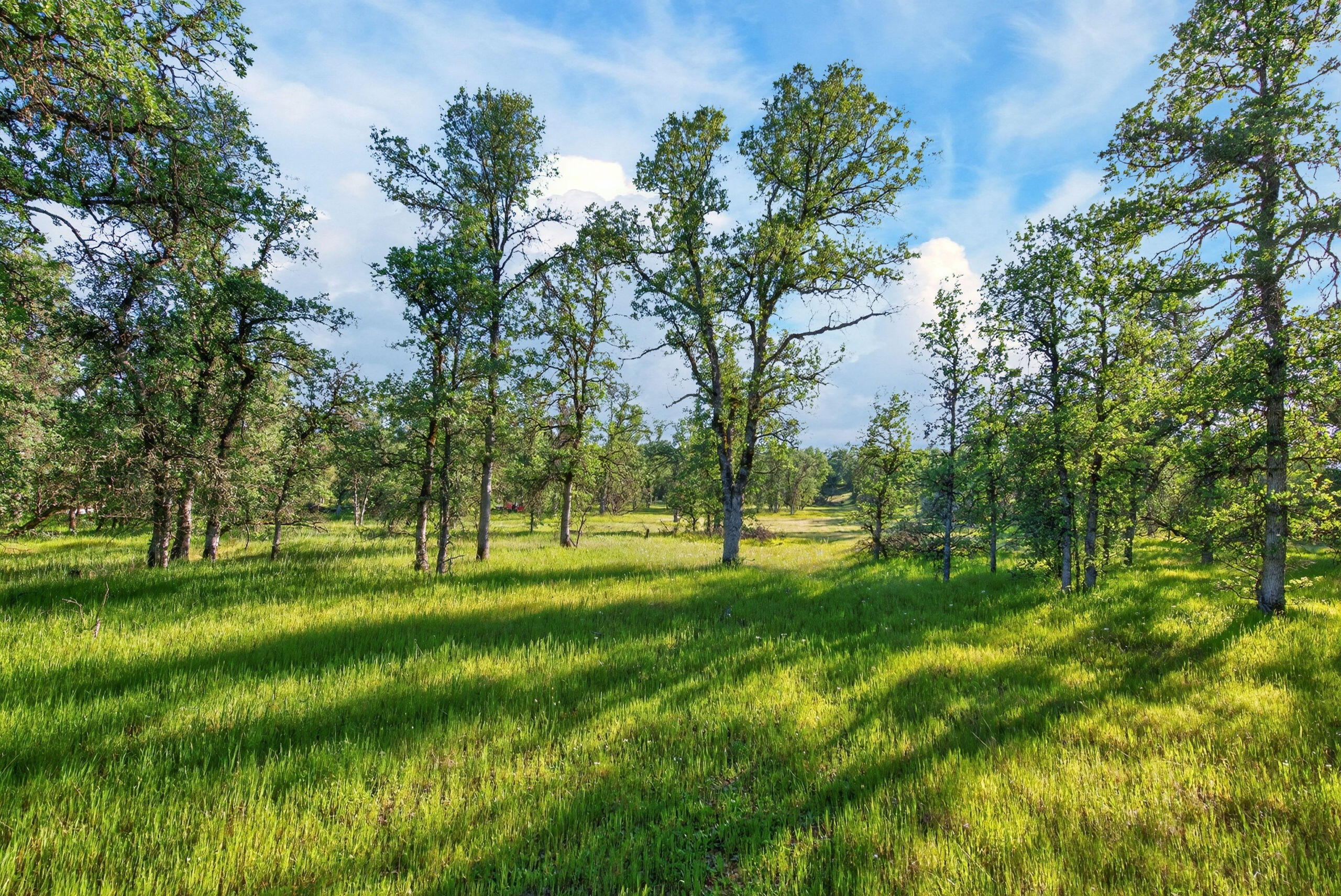 4027 2 2 Feathers Road Cottonwood, CA 96022 - Photo 35 of 35 _DSC2058