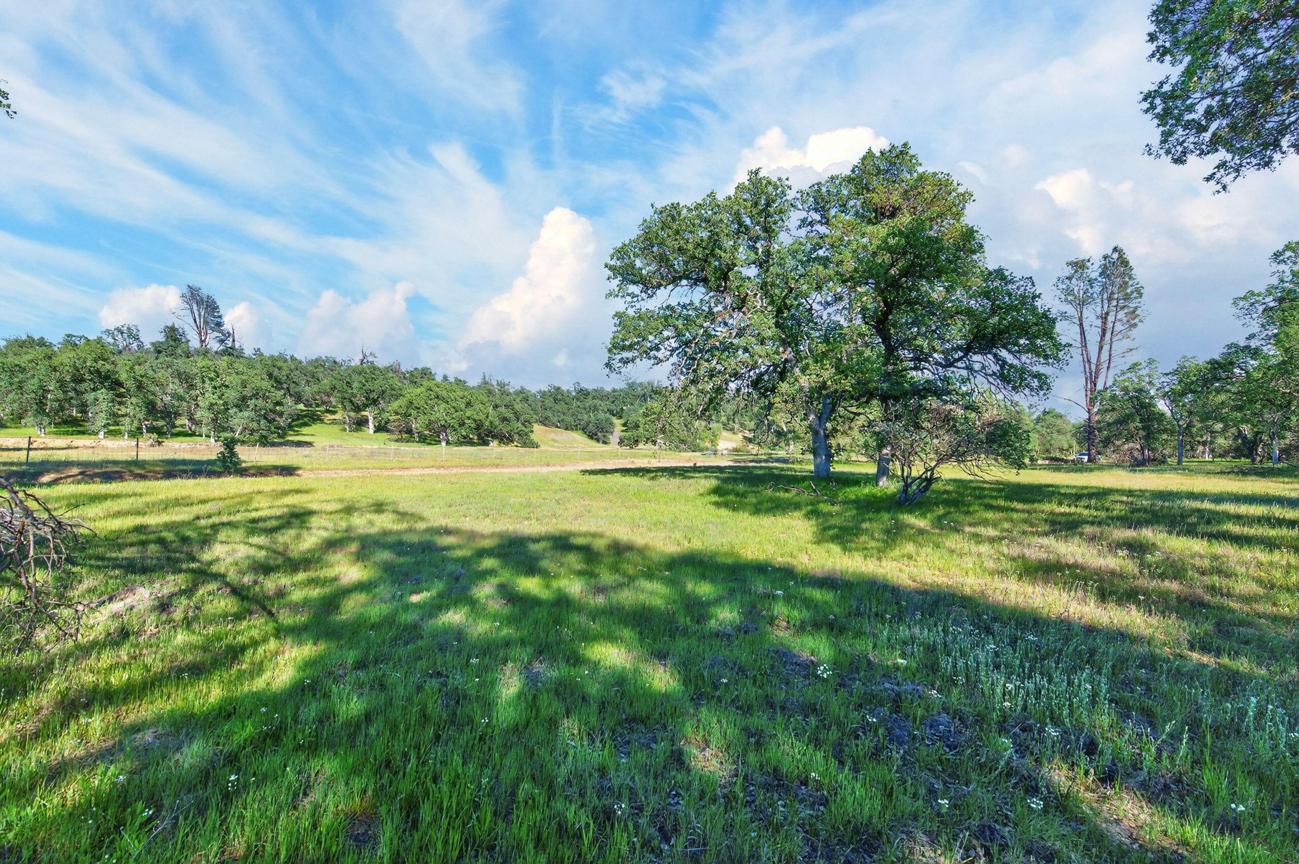 4027 2 2 Feathers Road Cottonwood, CA 96022 - Photo 4 of 35 _DSC1937