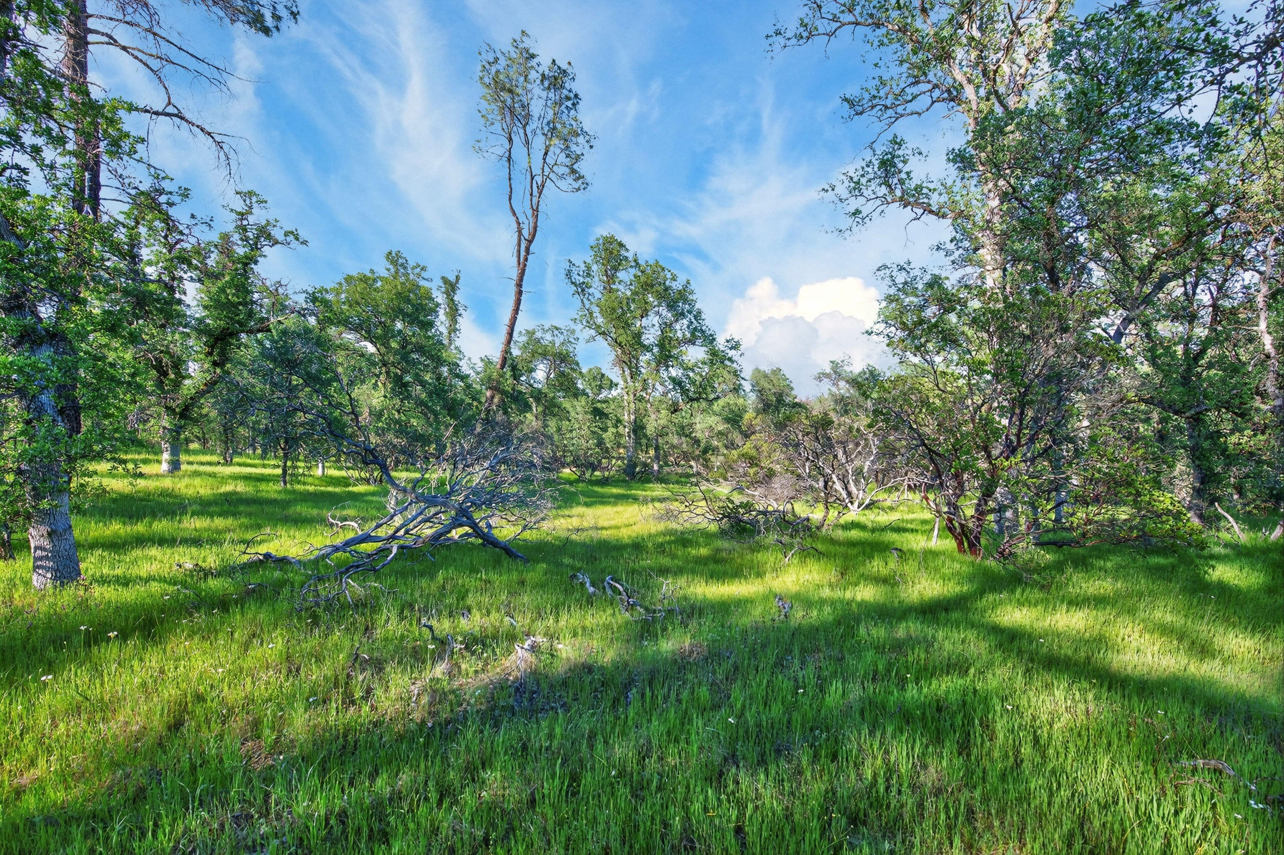 4027 2 2 Feathers Road Cottonwood, CA 96022 - Photo 6 of 35 _DSC2029