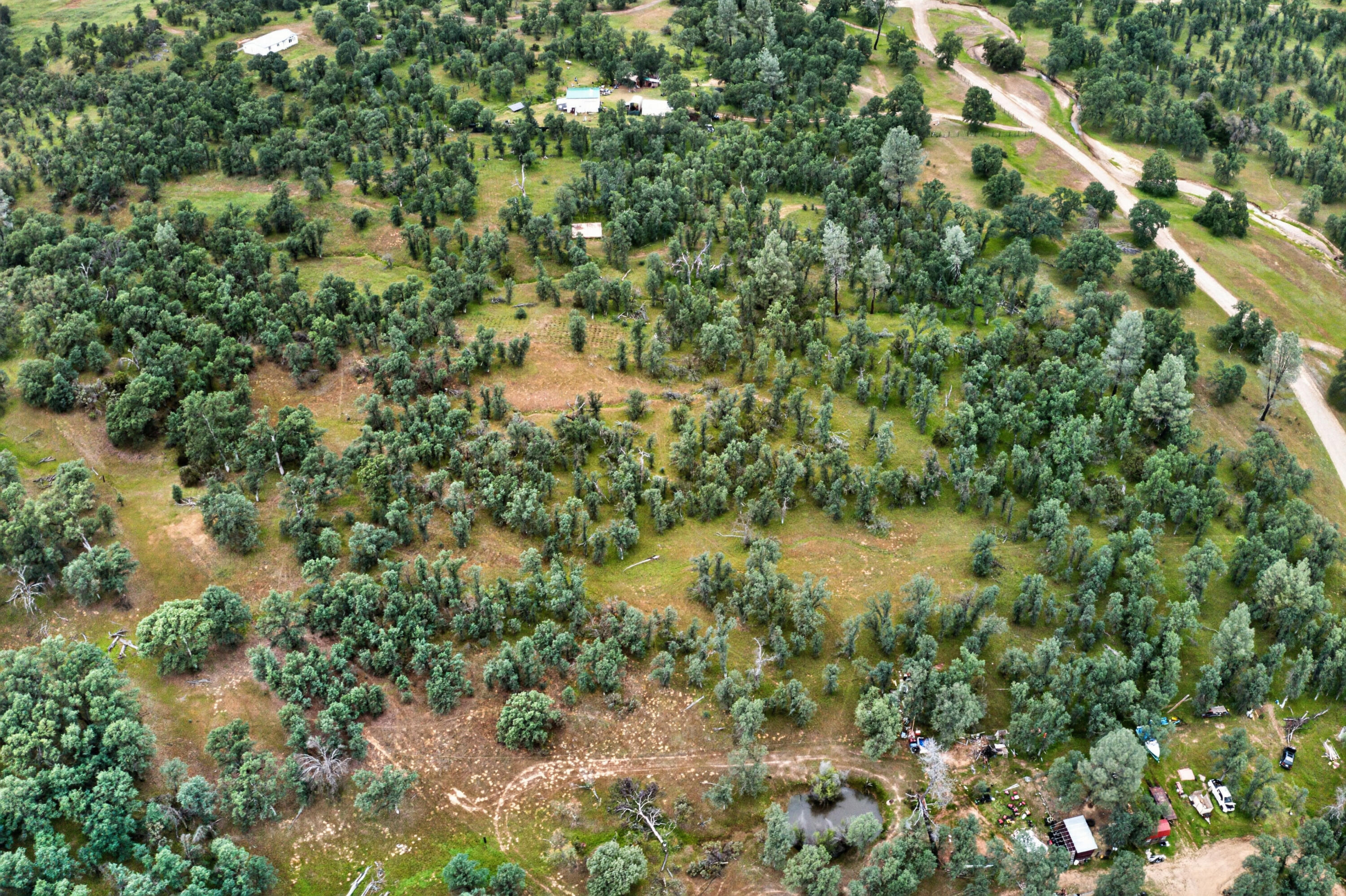 4027 2 2 Feathers Road Cottonwood, CA 96022 - Photo 8 of 35 DJI_0702
