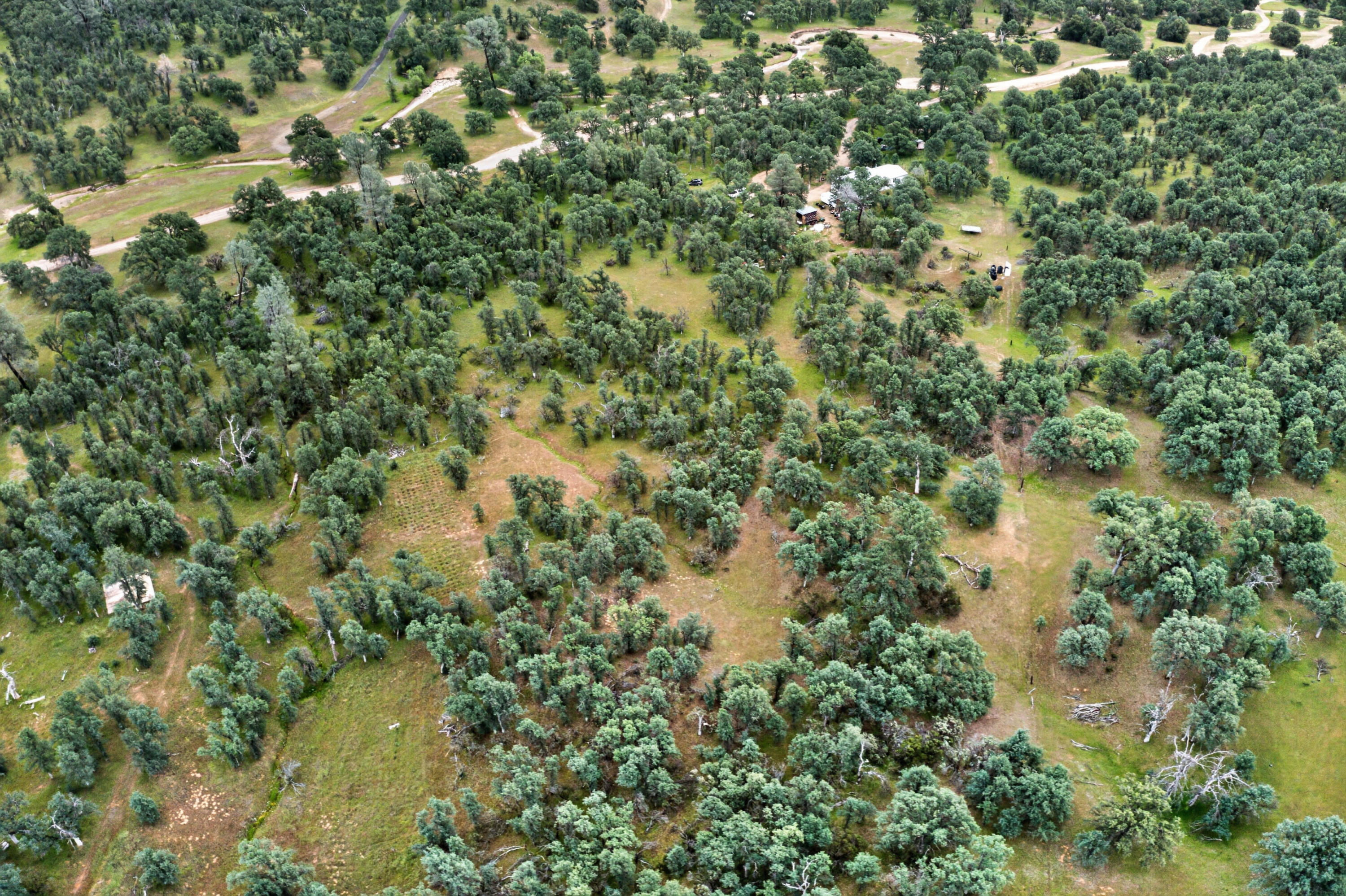 4027 2 2 Feathers Road Cottonwood, CA 96022 - Photo 10 of 35 DJI_0715