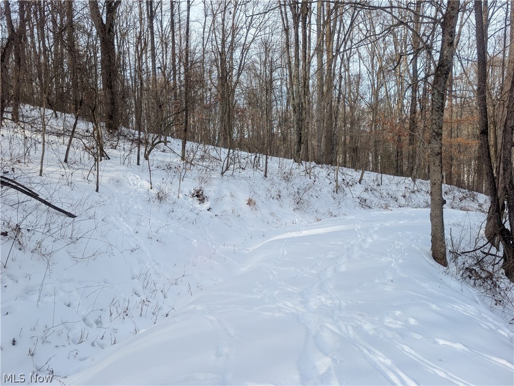 0 Tract 10 Kuhn Road Lewisville, OH 43754 - Photo 5 of 27 View of yard layered in snow