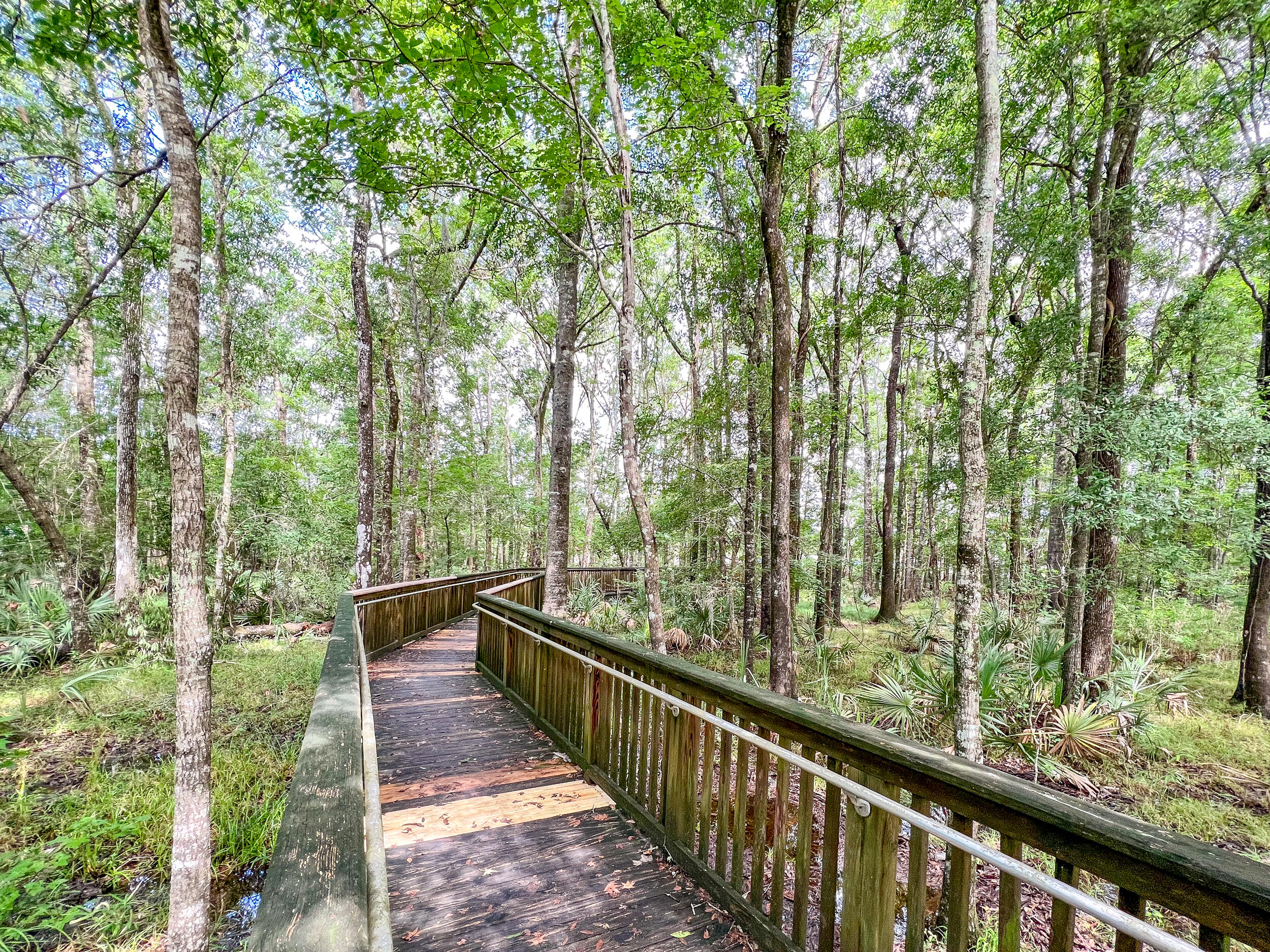 122 Walnut Creek Road Charleston, SC 29414 - Photo 54 of 58 DSC_9764_5_6_7_8