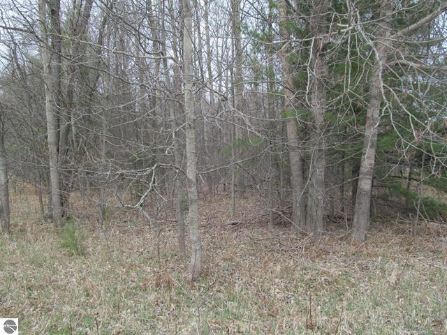 Lot 7 West Blue Road McBain, MI 49657 - Photo 2 of 6 Gallery Image 2