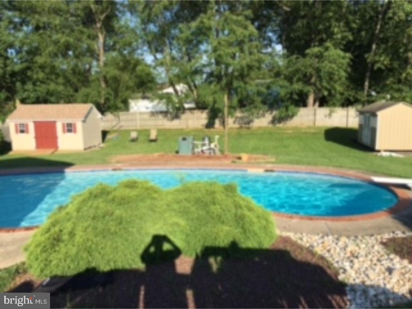80 Tulip Road Holland, PA 18966 - Photo 17 of 19 Pool