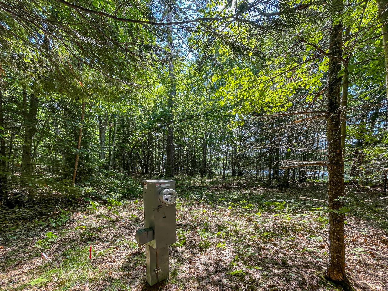 1207 South Little Bass Lake Road Eagle River, WI 54521 - Photo 11 of 47 Gallery Image 11