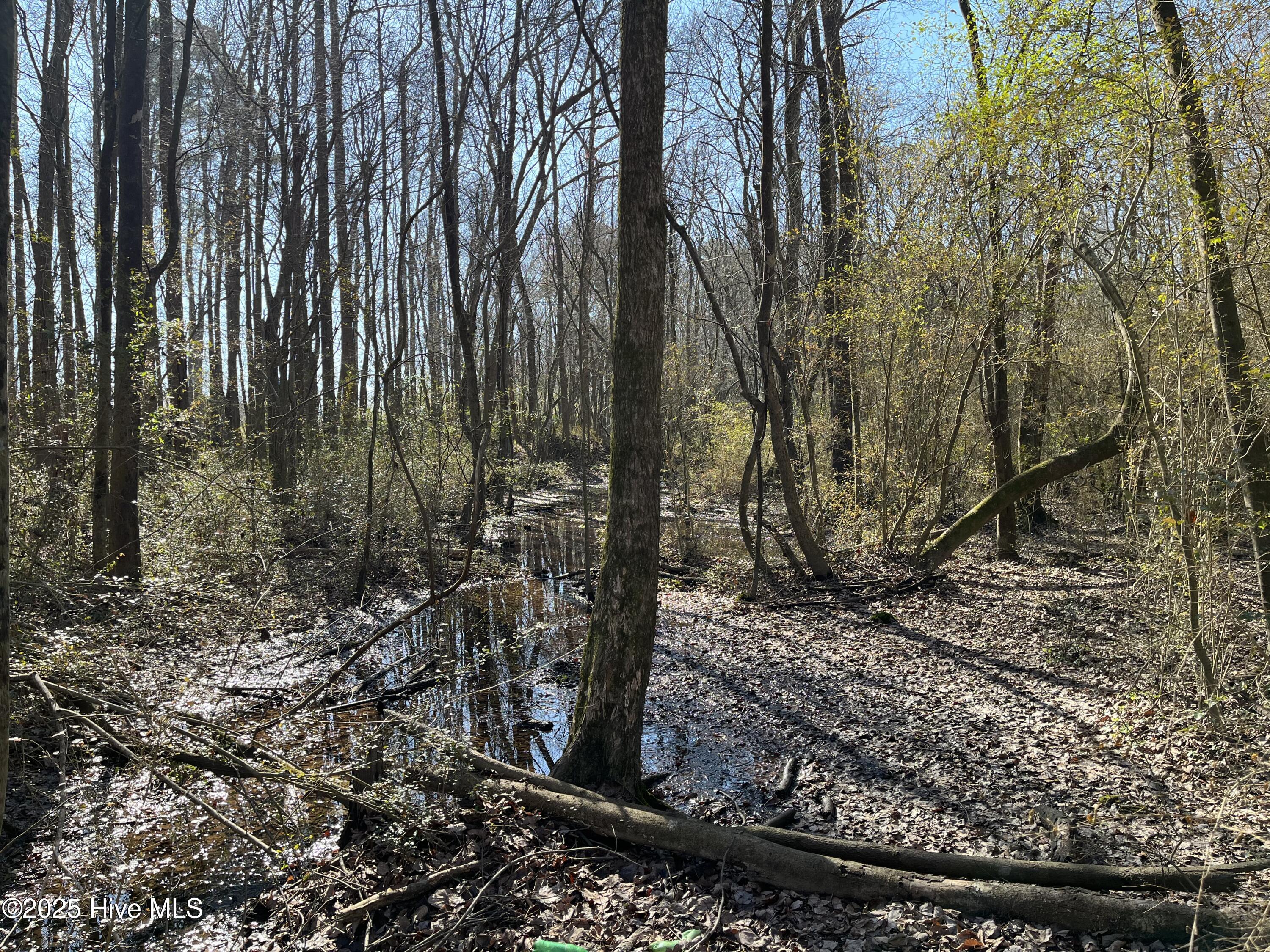 Tbd Wagon Ford Road Pink Hill, NC 28572 - Photo 5 of 8 IMG_6487