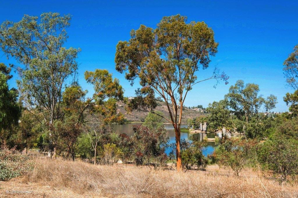 5702 Baltimore Drive, Unit 262 La Mesa, CA 91942 - Photo 2 of 53