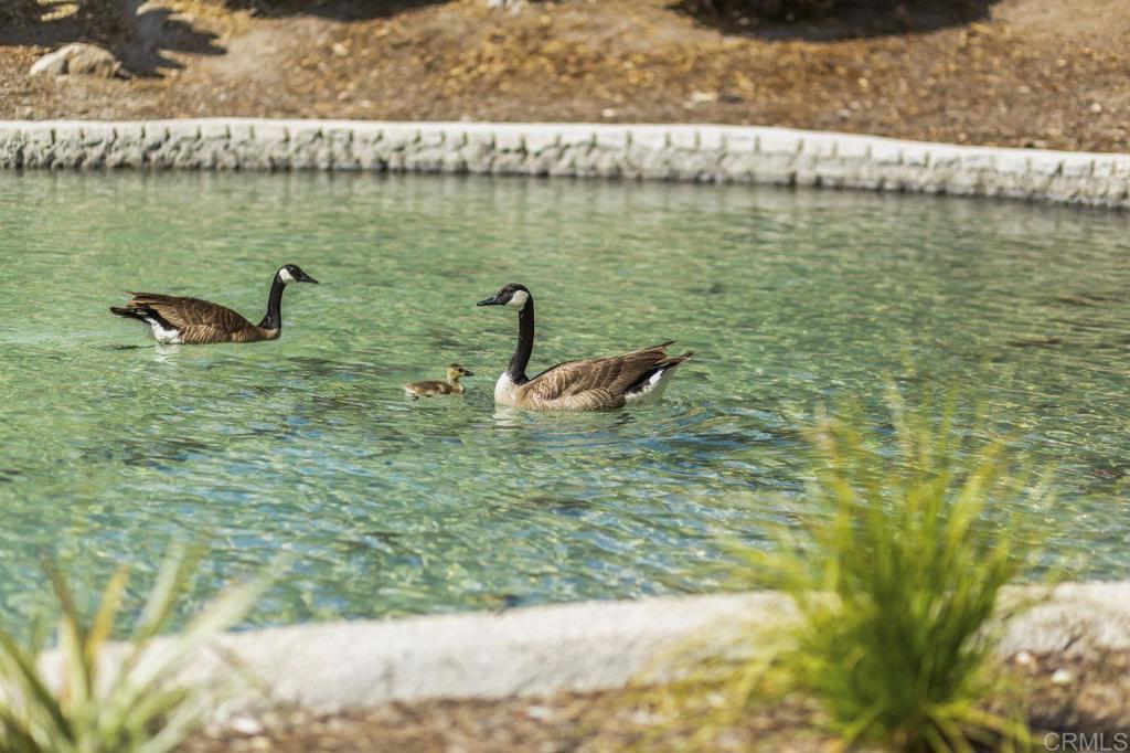 5702 Baltimore Drive, Unit 262 La Mesa, CA 91942 - Photo 43 of 53