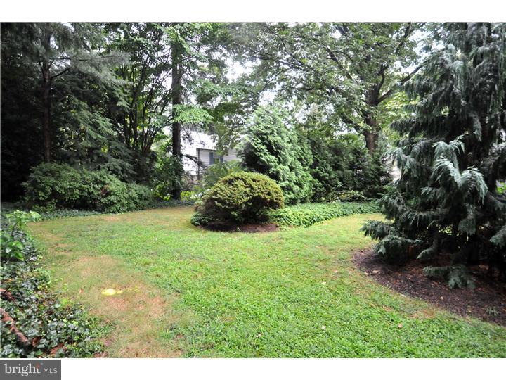 1921 Lambert Road Jenkintown, PA 19046 - Photo 22 of 24 Back Yard