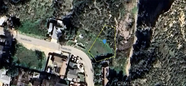 a view of a yard with trees in the background