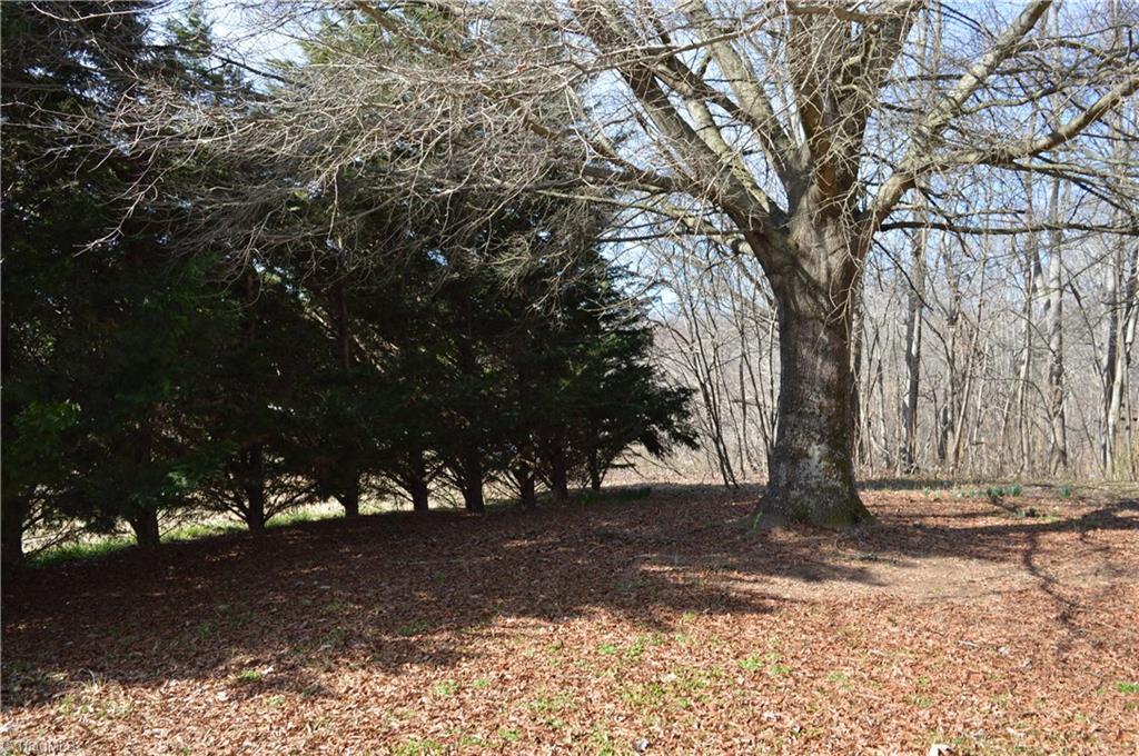 1096 Troy Joyce Road Madison, NC 27025 - Photo 4 of 21