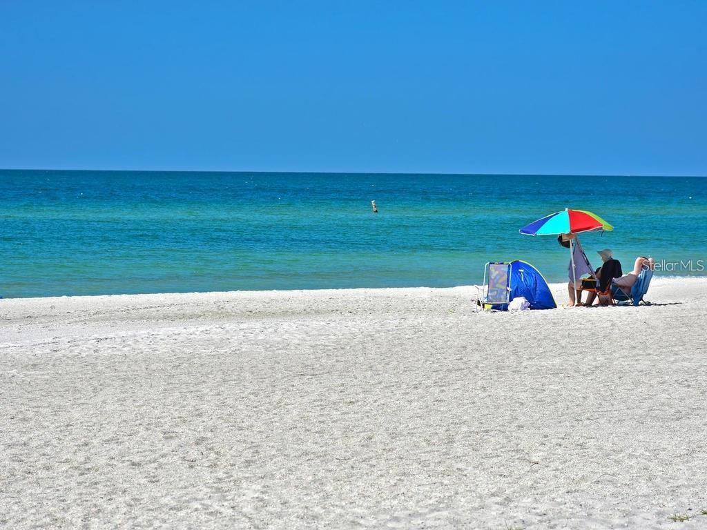 6619 Waters Edge Way Lakewood Ranch, FL 34202 - Photo 66 of 72