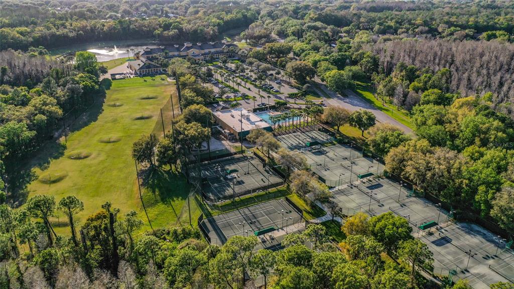 5100 Burchette Road, Unit 3802 Tampa, FL 33647 - Photo 54 of 60 Gallery Image 54