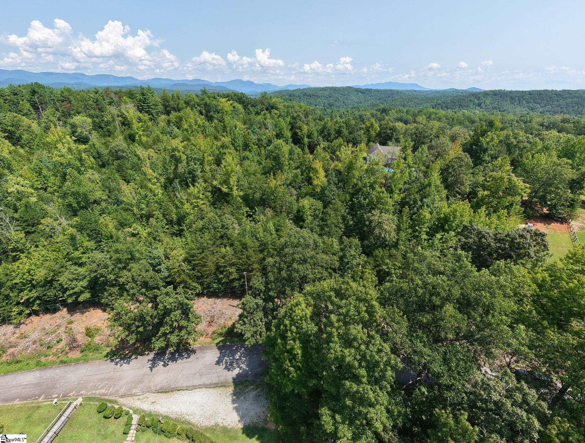 Lot 2 Hannon Road Marietta, SC 29661 - Photo 11 of 16 Gallery Image 11