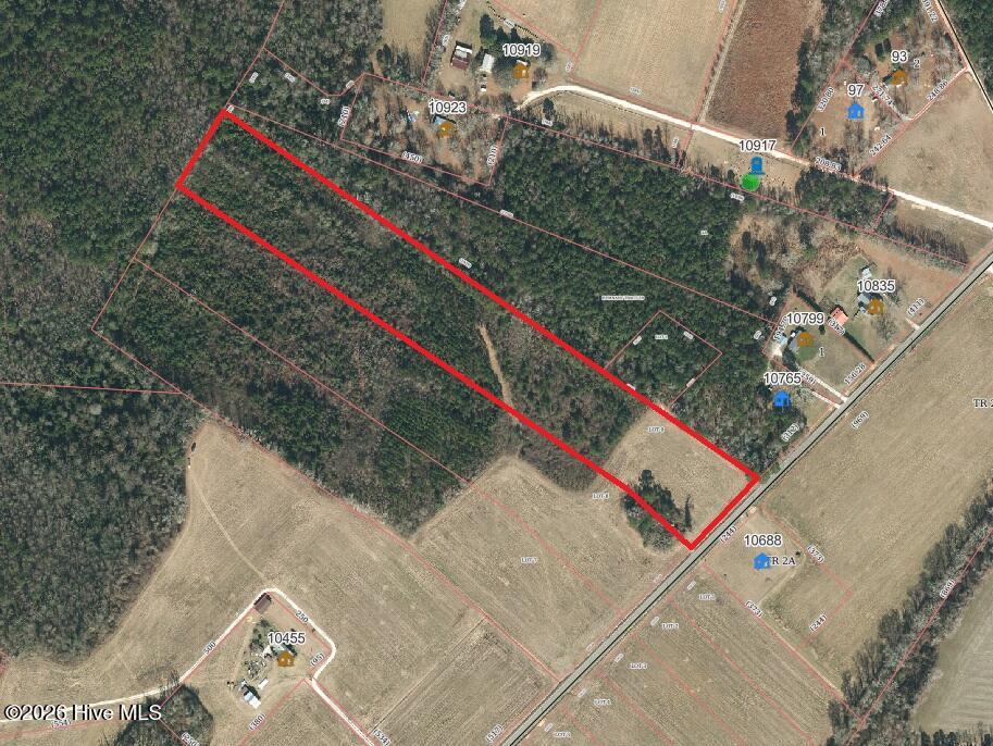 Lot 9 Point Caswell Road Willard, NC 28478 - Photo 5 of 12 Gallery Image 5
