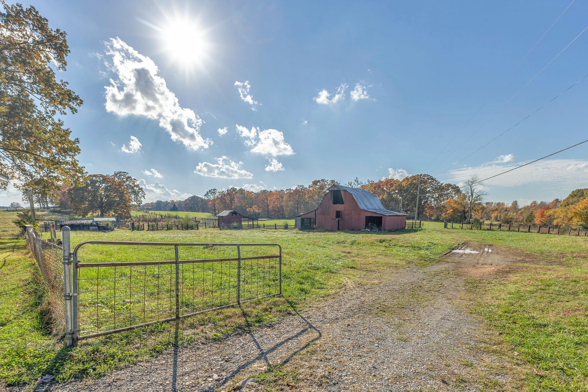 275 Pond Rail Road Dickson, TN 37055 - Photo 33 of 72 a view of a big yard next to a yard