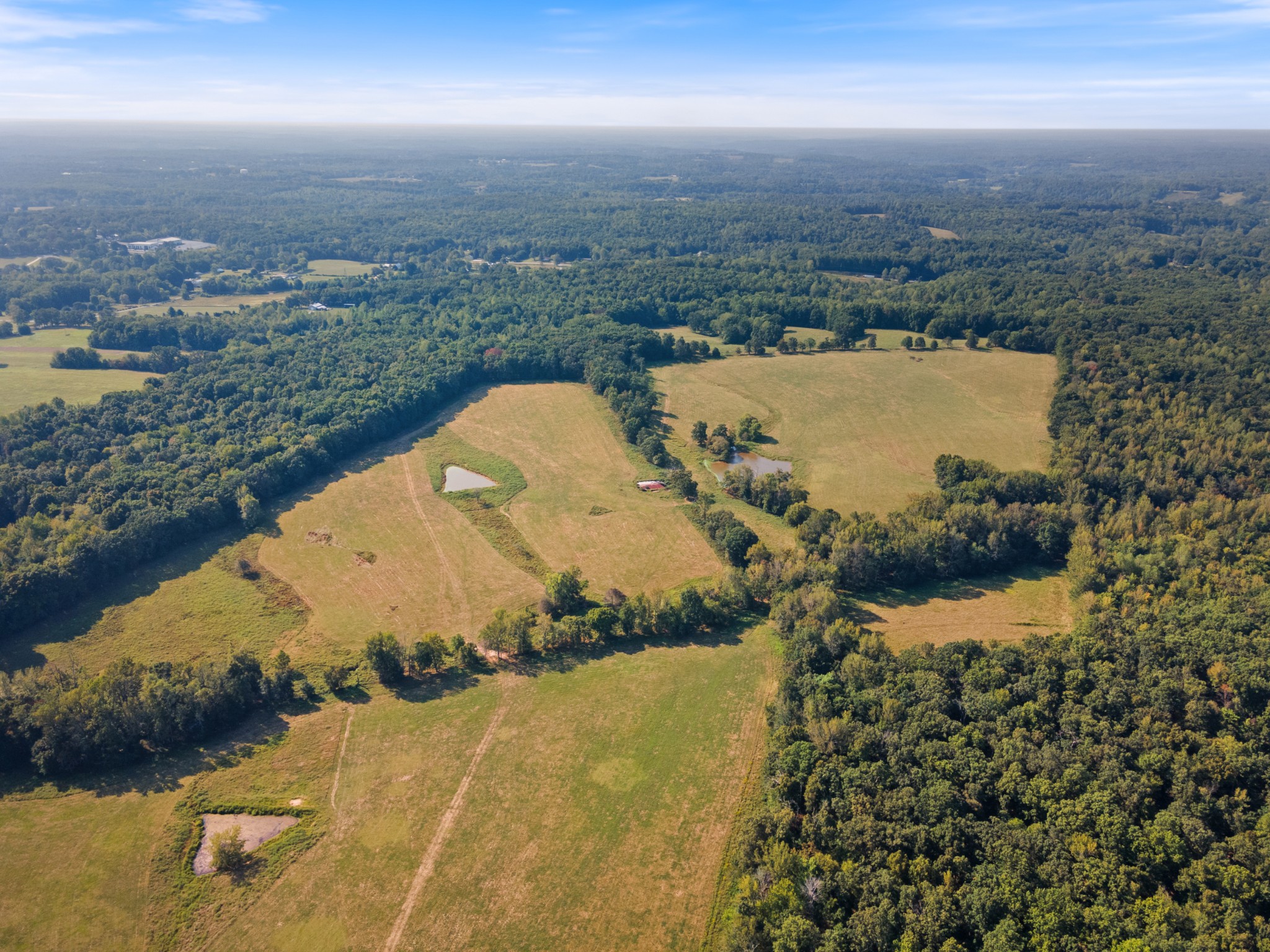 275 Pond Rail Road Dickson, TN 37055 - Photo 41 of 72