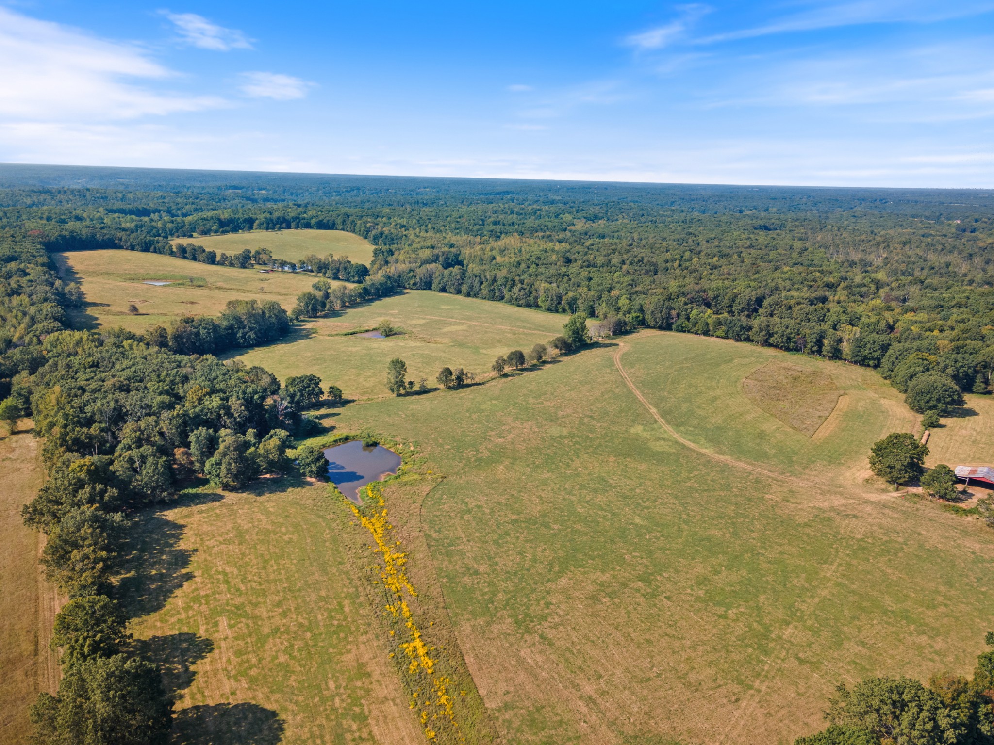 275 Pond Rail Road Dickson, TN 37055 - Photo 42 of 72