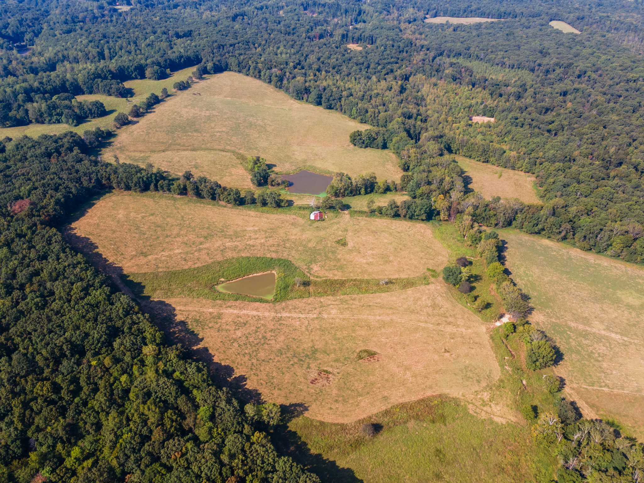 275 Pond Rail Road Dickson, TN 37055 - Photo 43 of 72 a view of swimming pool and mountain view