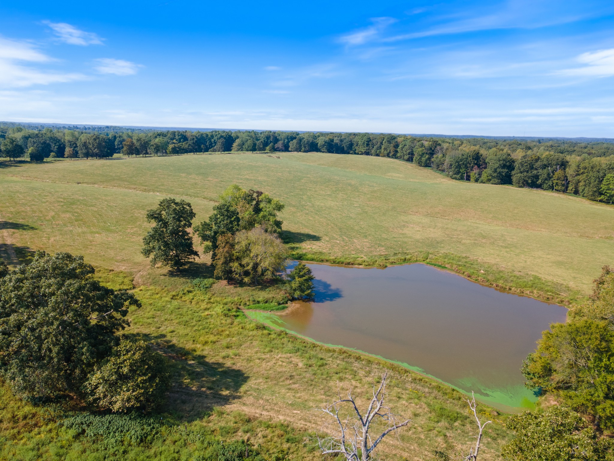 275 Pond Rail Road Dickson, TN 37055 - Photo 49 of 72 a view of an ocean with beach and city