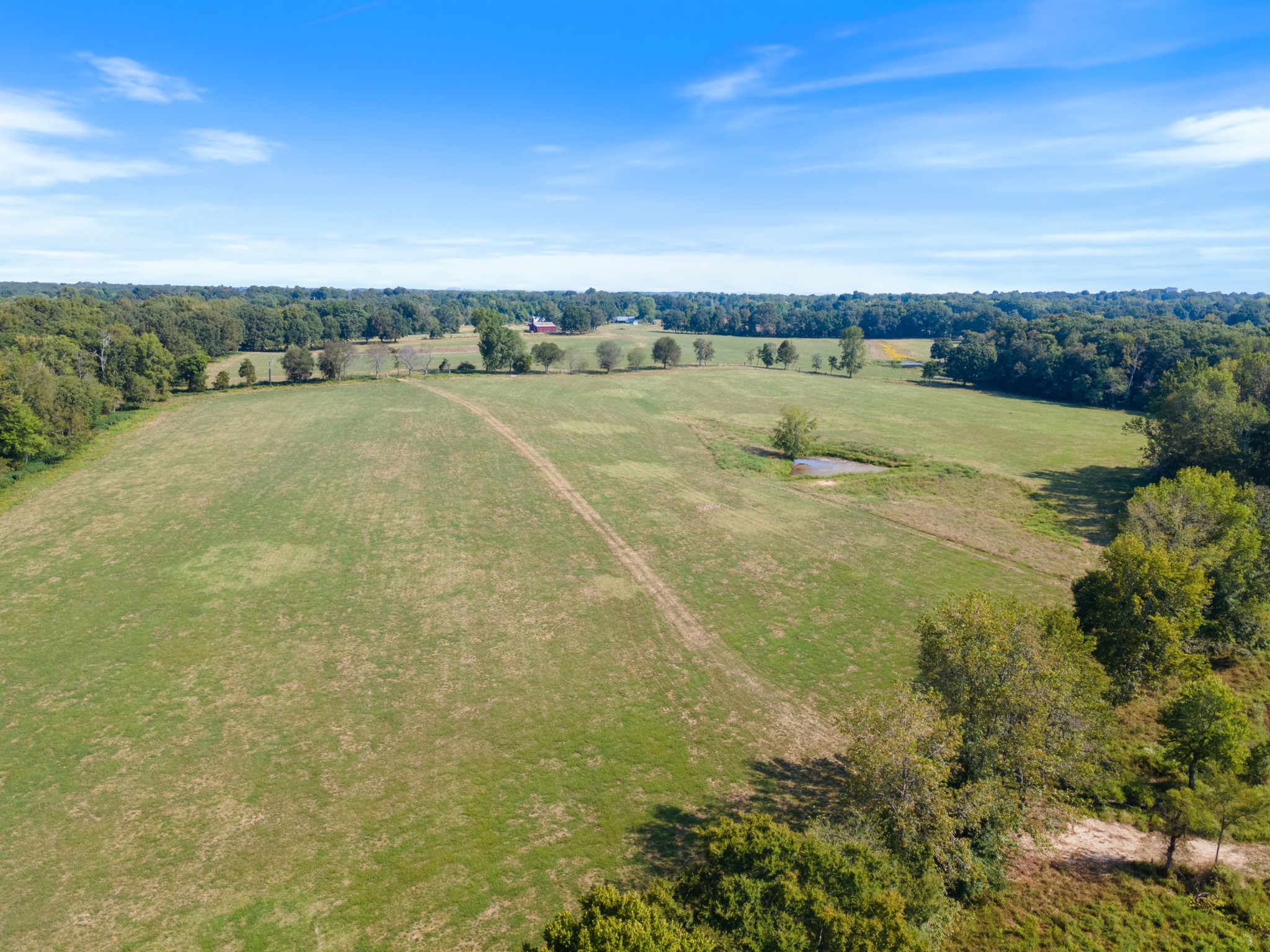 275 Pond Rail Road Dickson, TN 37055 - Photo 50 of 72 a view of a big yard with palm trees
