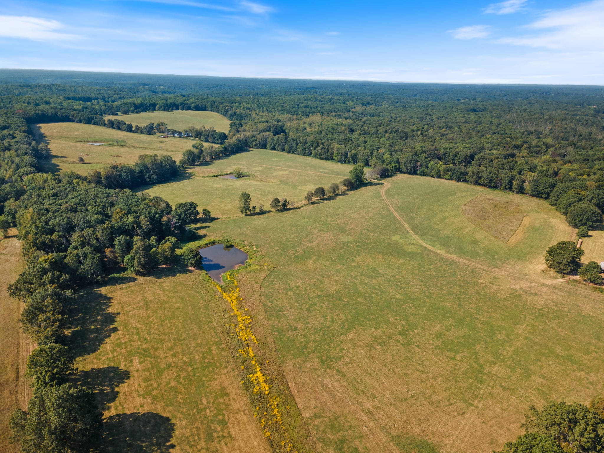 275 Pond Rail Road Dickson, TN 37055 - Photo 59 of 72 a view of a lake view