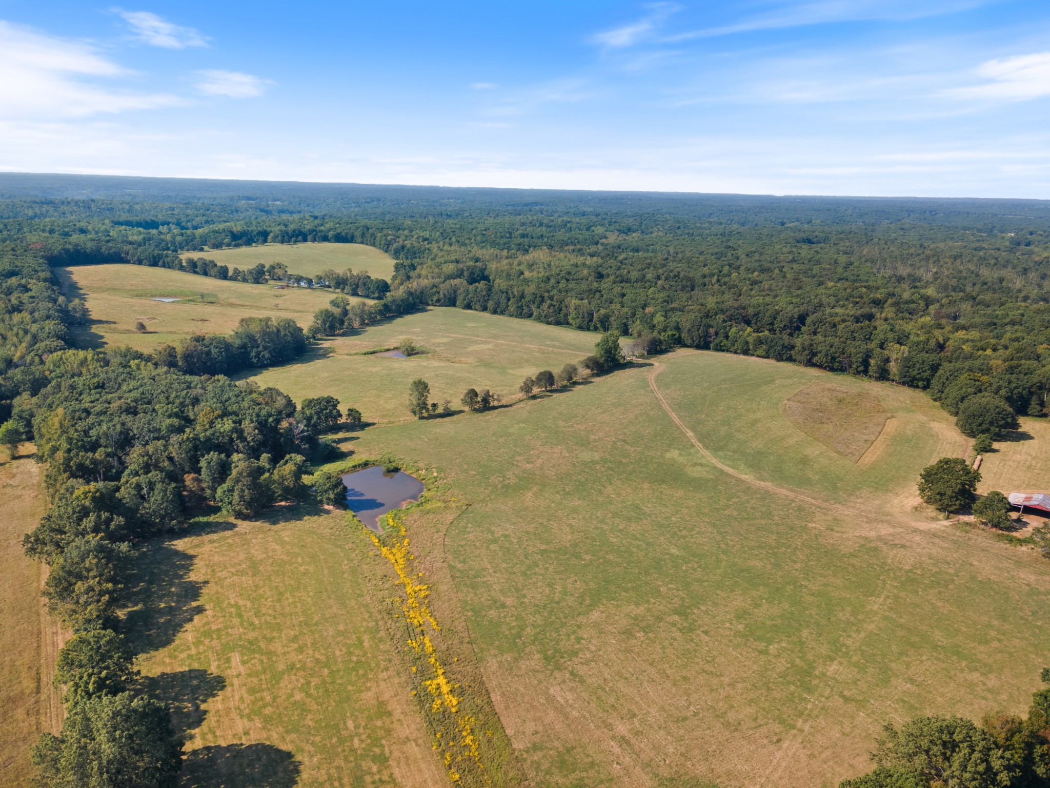 275 Pond Rail Road Dickson, TN 37055 - Photo 60 of 72