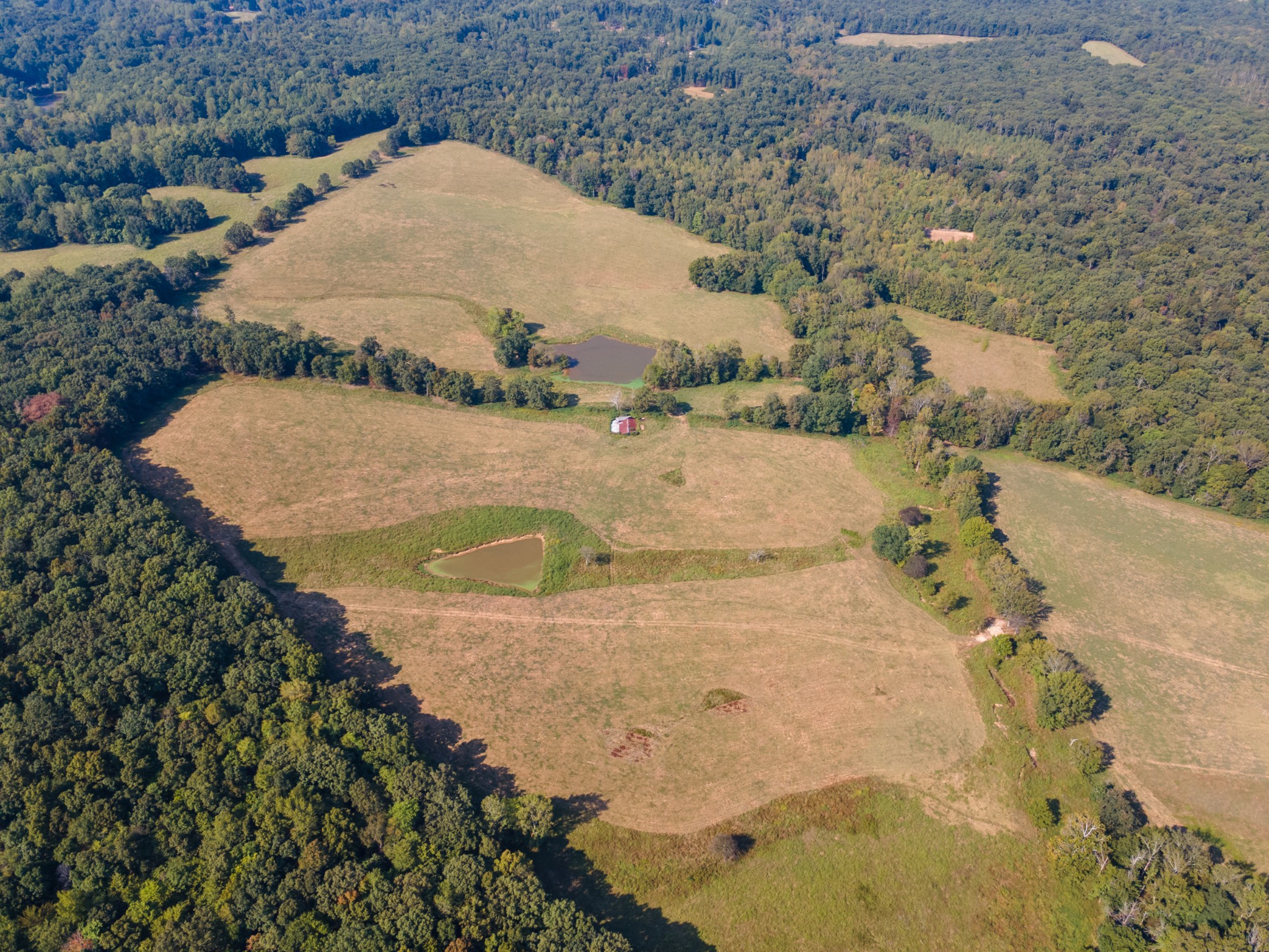 275 Pond Rail Road Dickson, TN 37055 - Photo 61 of 72 a view of swimming pool and mountain view