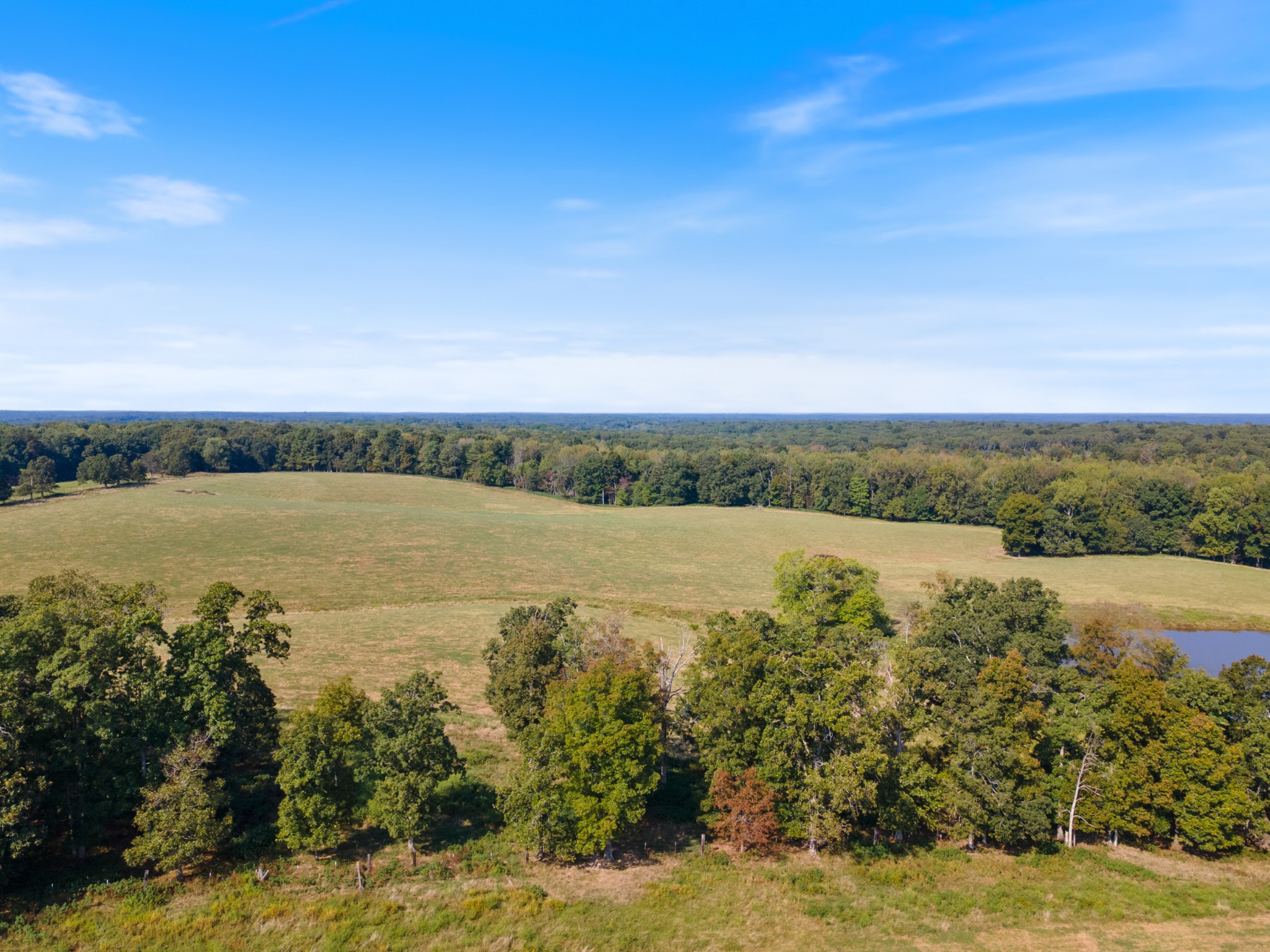 275 Pond Rail Road Dickson, TN 37055 - Photo 64 of 72 a view of a lake with houses in the back