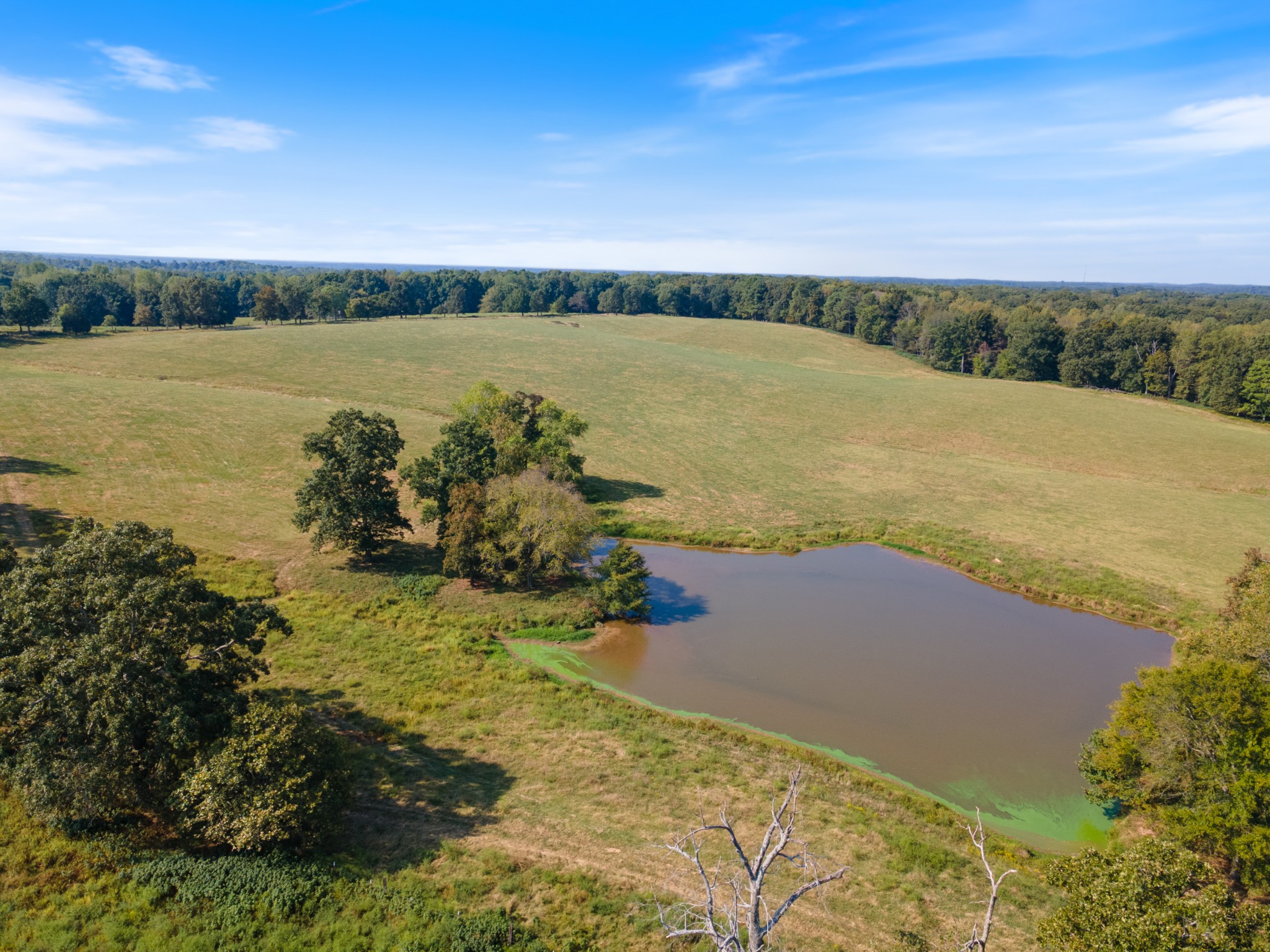 275 Pond Rail Road Dickson, TN 37055 - Photo 67 of 72 a view of an ocean with beach and ocean