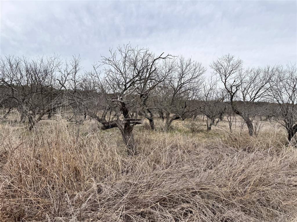 349 Oak Point Drive May, TX 76857 - Photo 11 of 13
