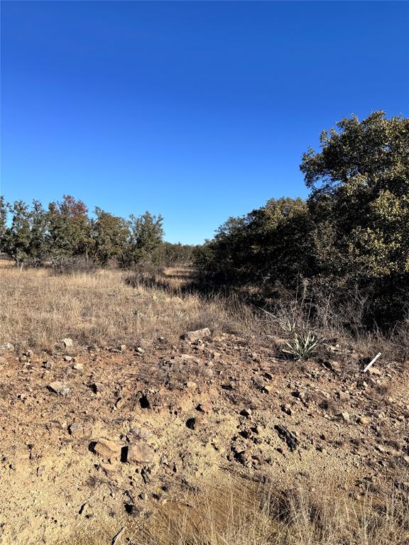 349 Oak Point Drive May, TX 76857 - Photo 12 of 13
