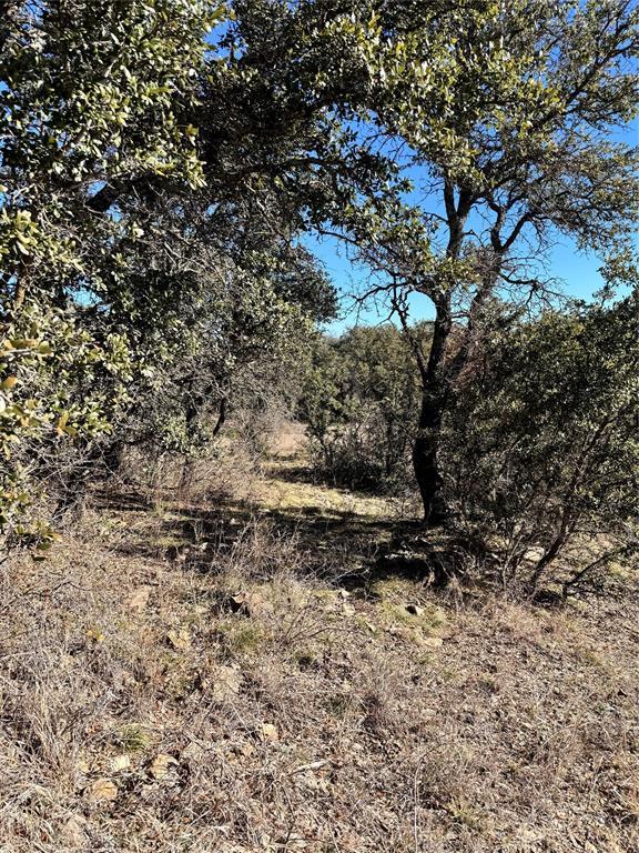 349 Oak Point Drive May, TX 76857 - Photo 2 of 13