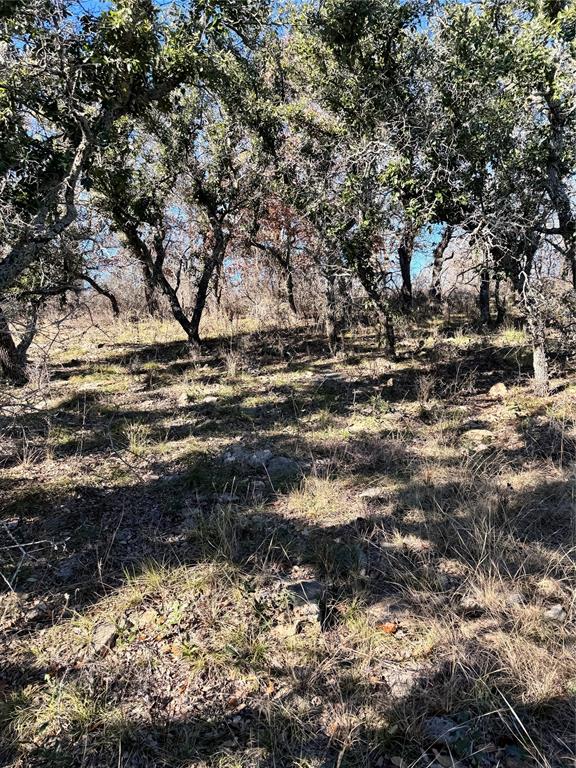 349 Oak Point Drive May, TX 76857 - Photo 5 of 13