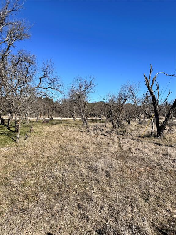 349 Oak Point Drive May, TX 76857 - Photo 6 of 13
